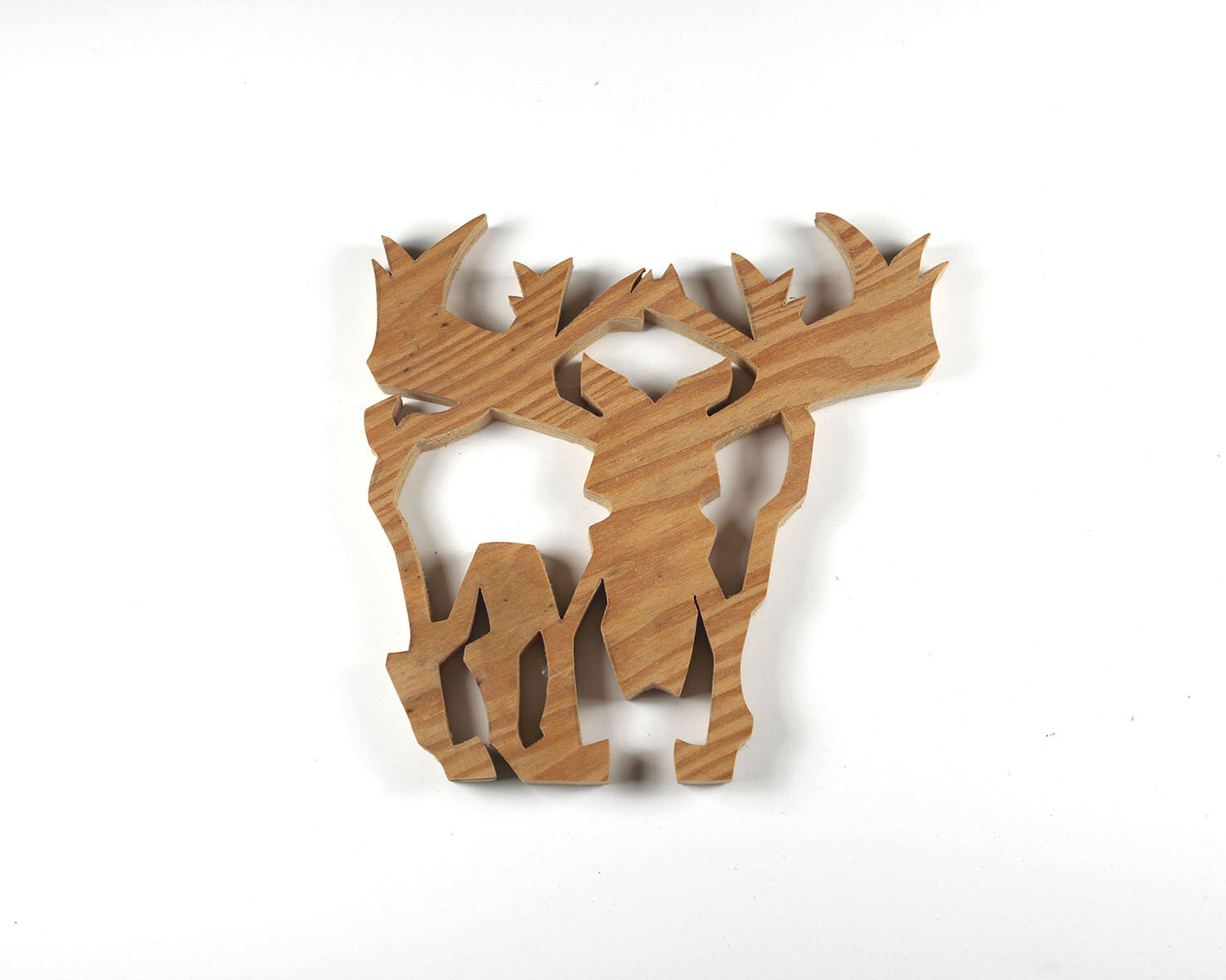 #320 November 16- Canadian Moose