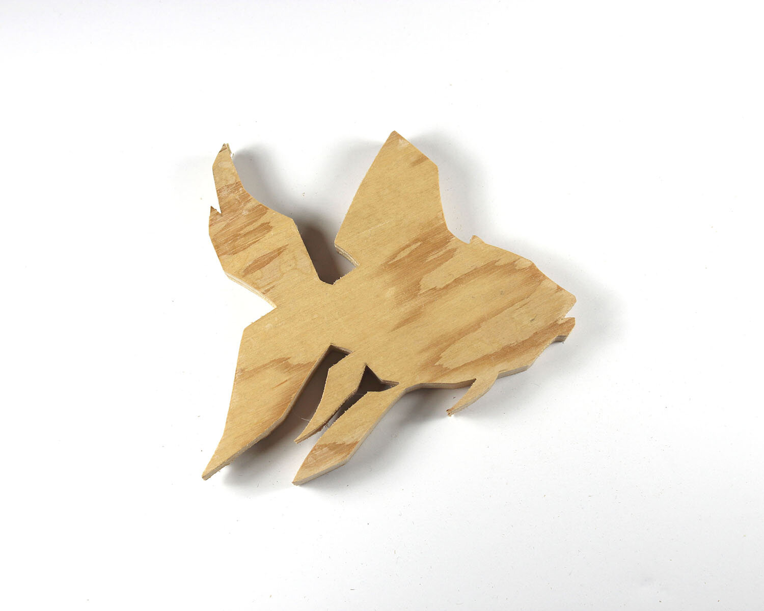 #323 November 19- Goldfish