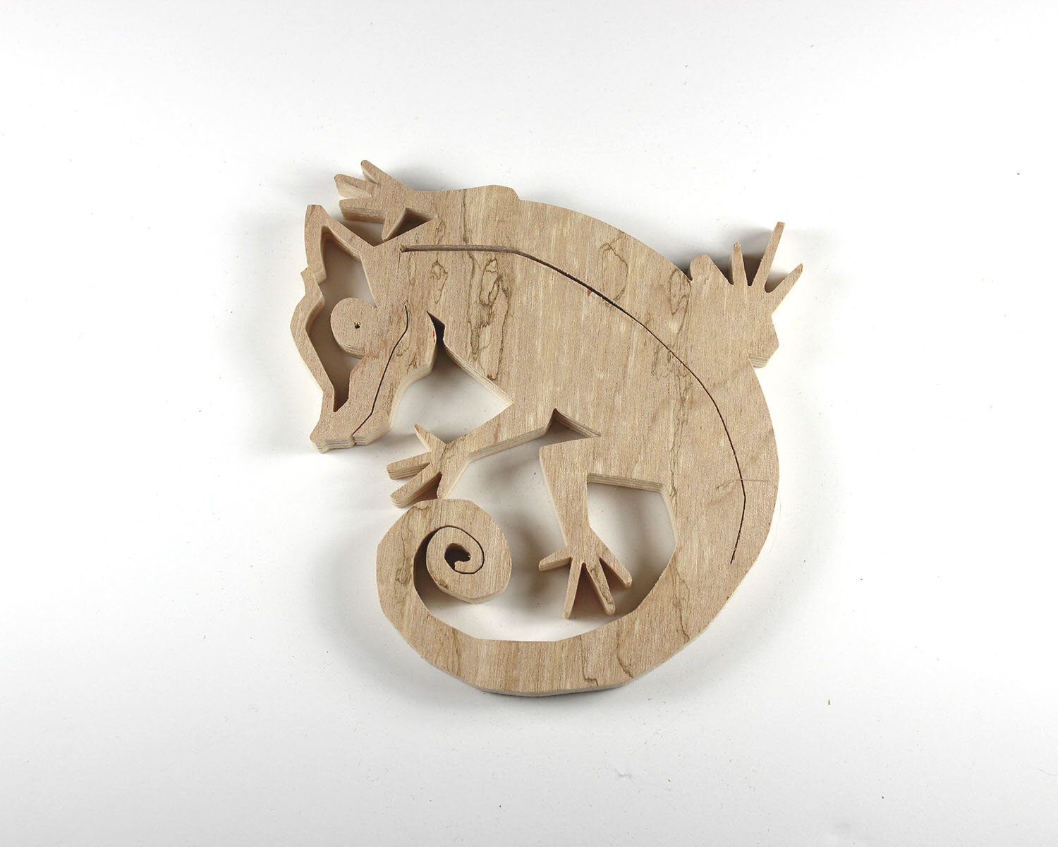 #324 November 20- Chameleon