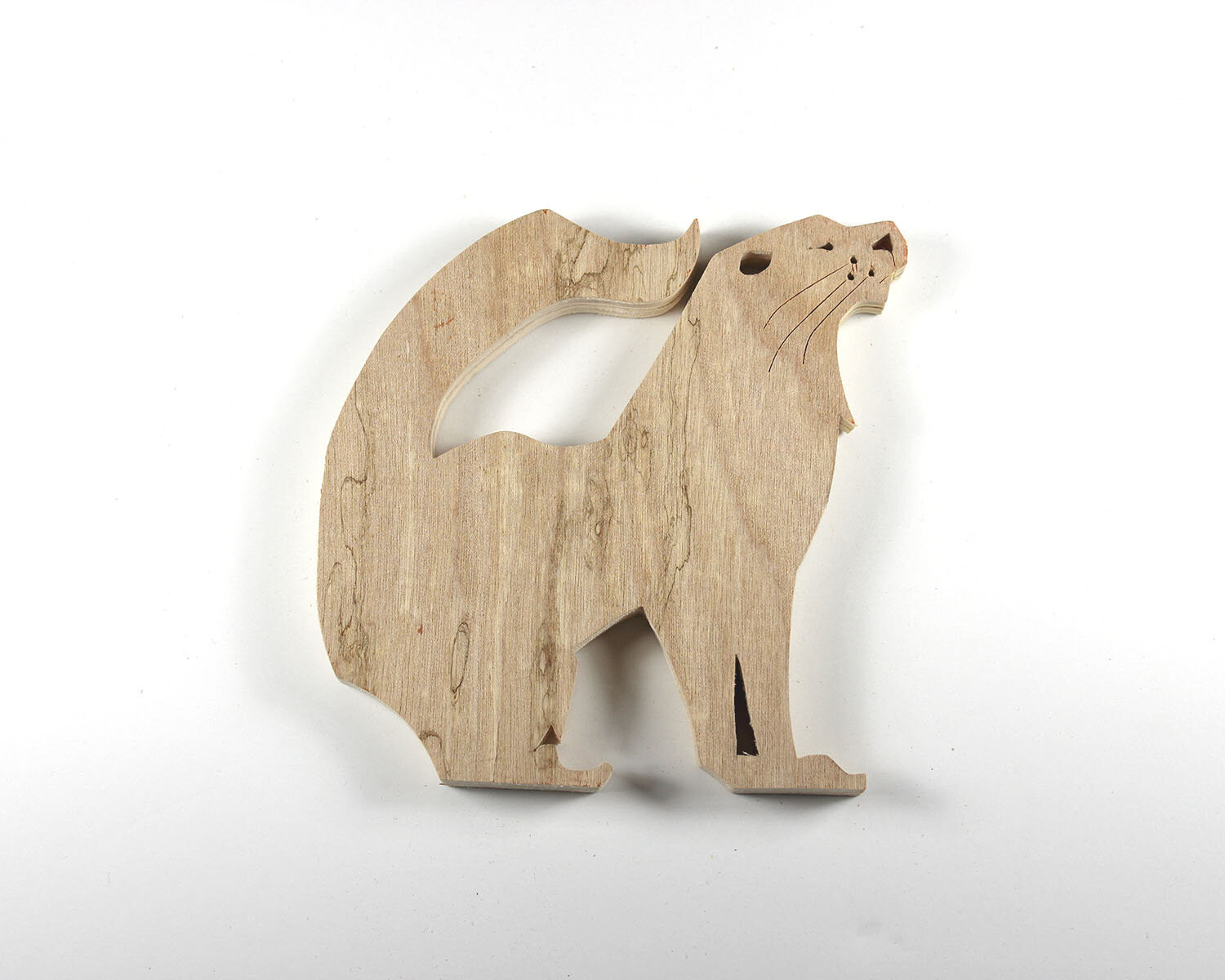 #327 November 23- Otter