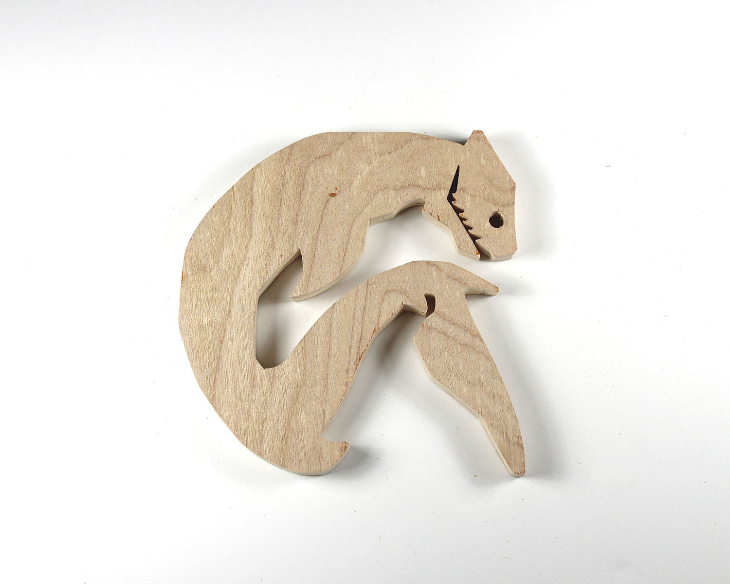 335 Frilled Shark.JPG