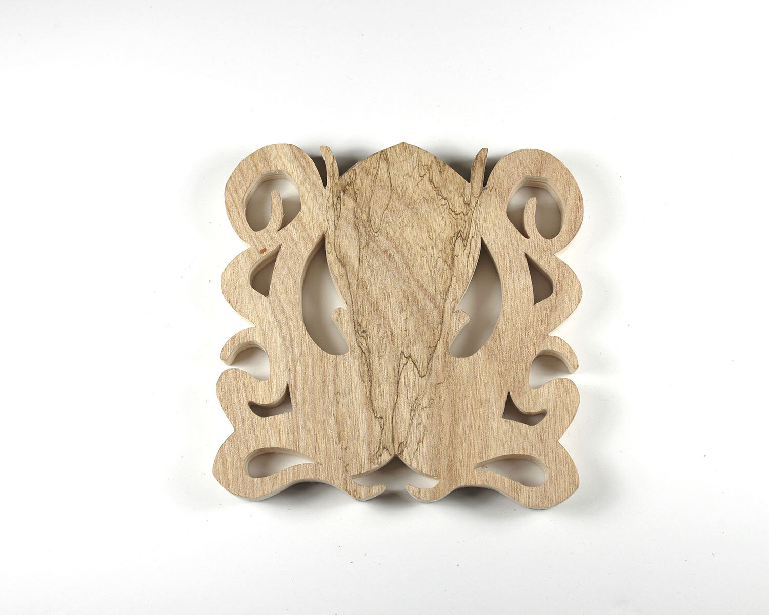 #337 December 3- Giant Octopus