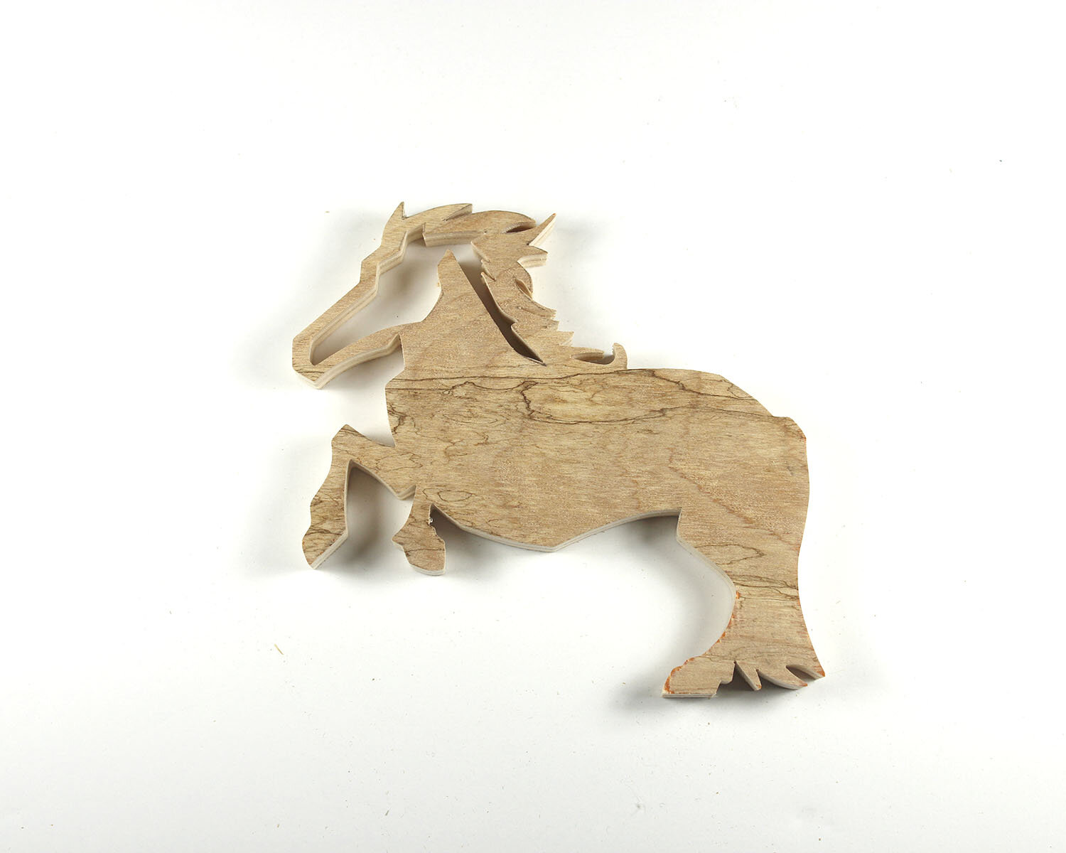 #338 December 4- Icelandic Horse