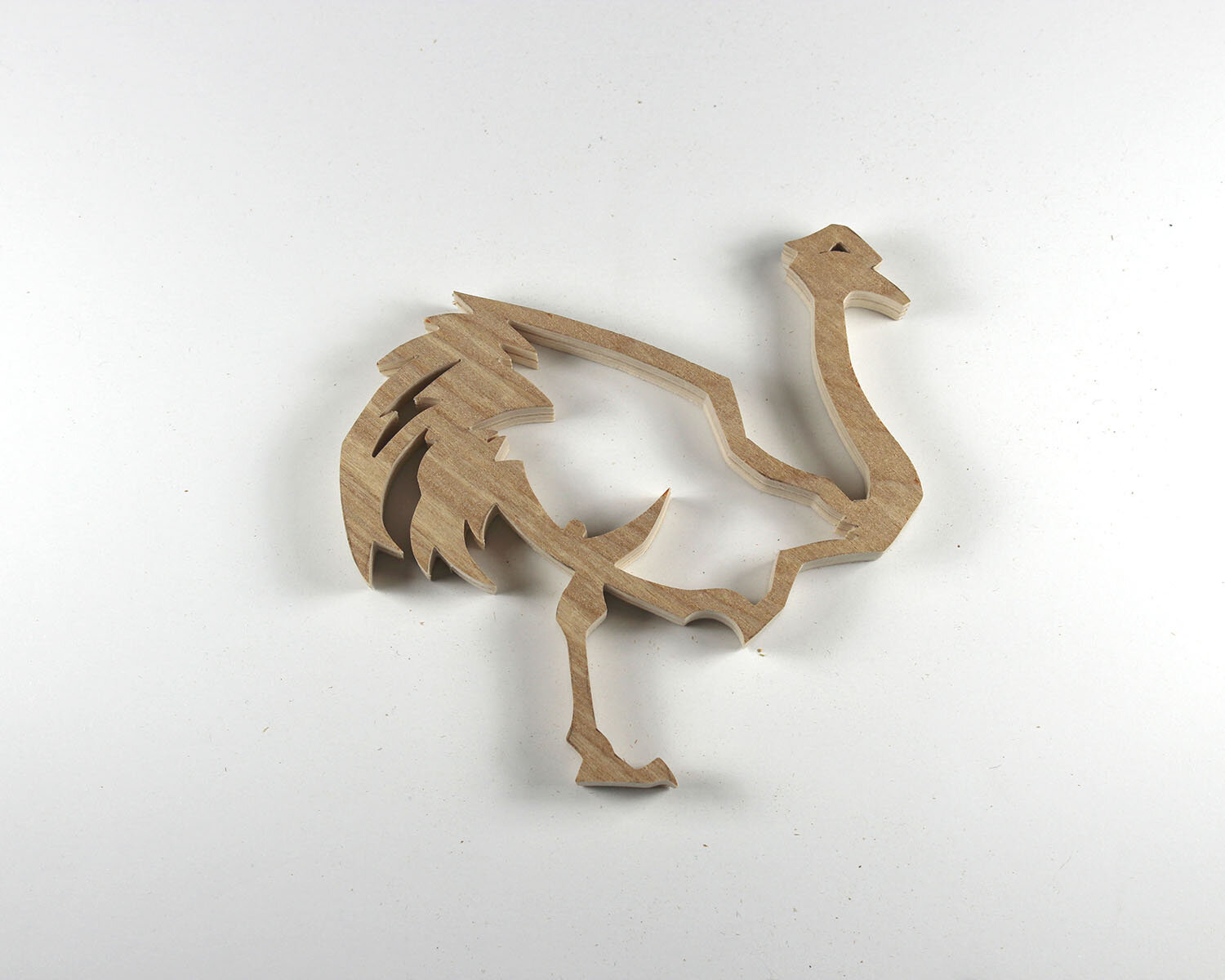 #339 December 5- Ostrich