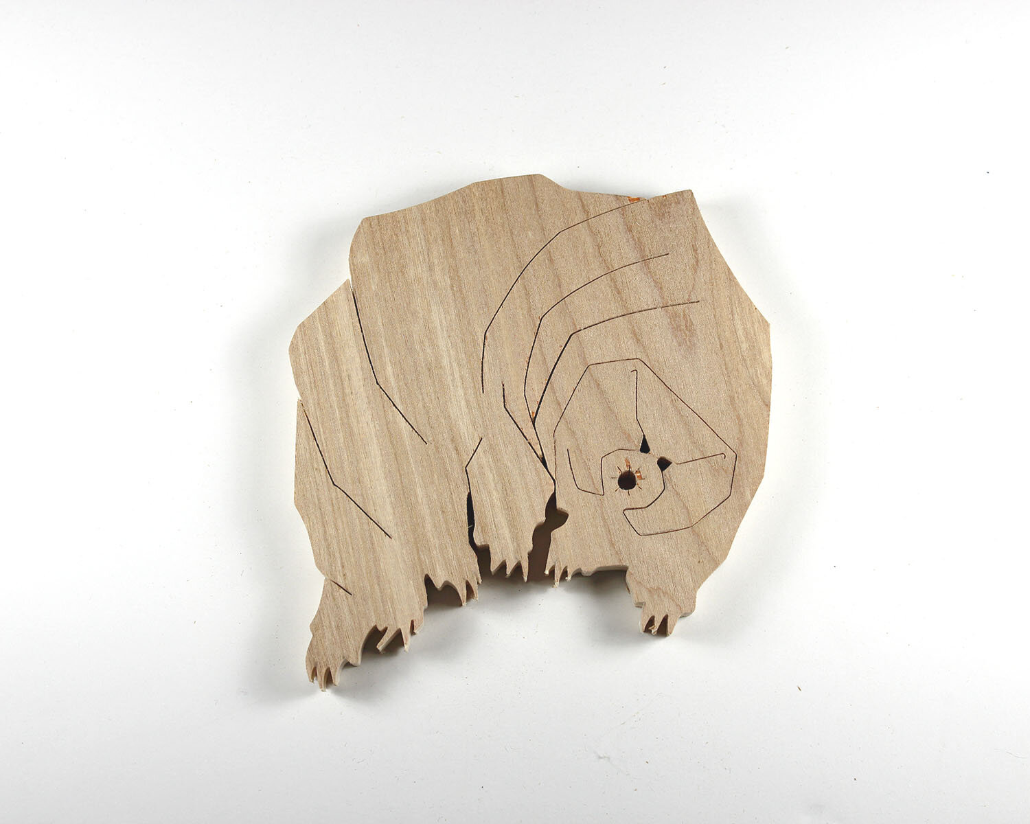 #341 December 7- Tardigrade