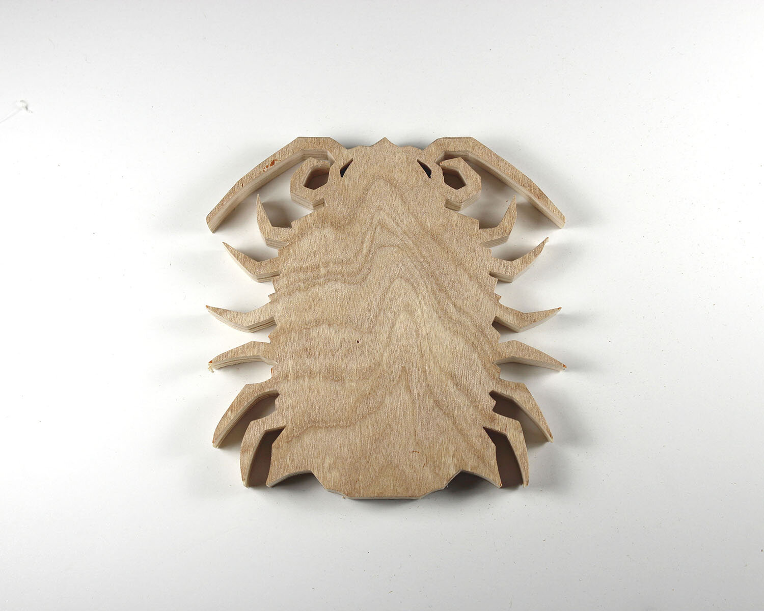 #343 December 9- Giant Isopod