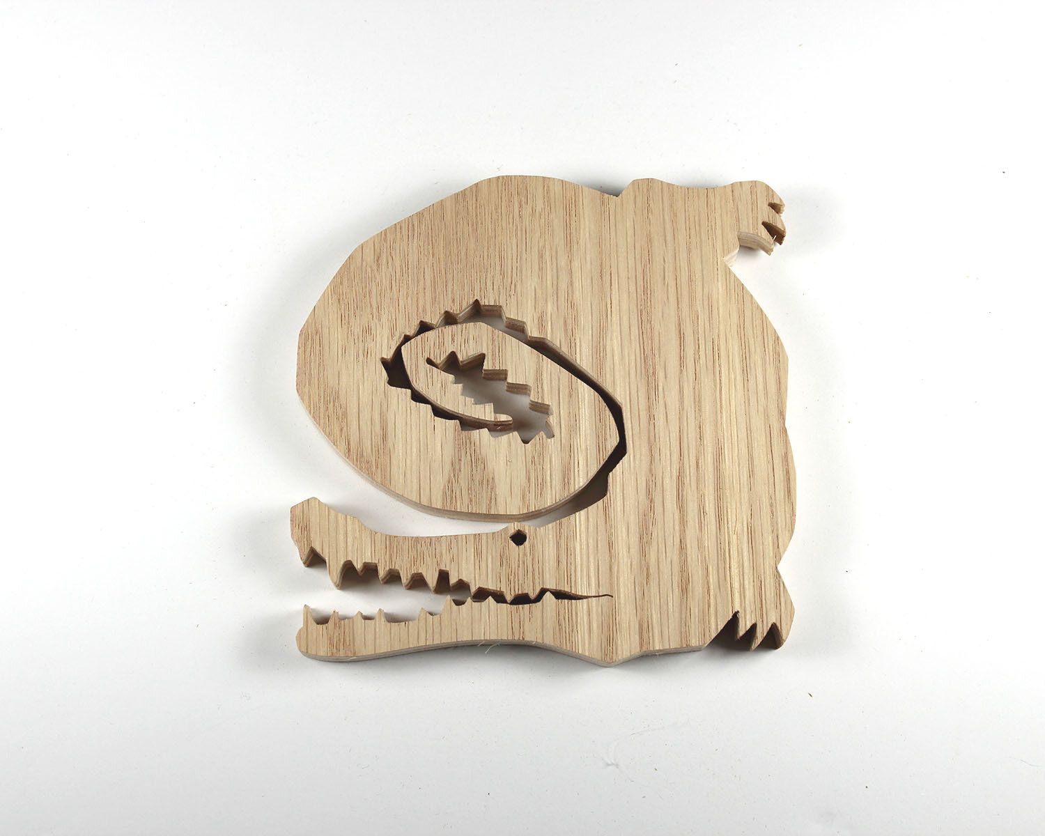 #344 December 10- Crocodile