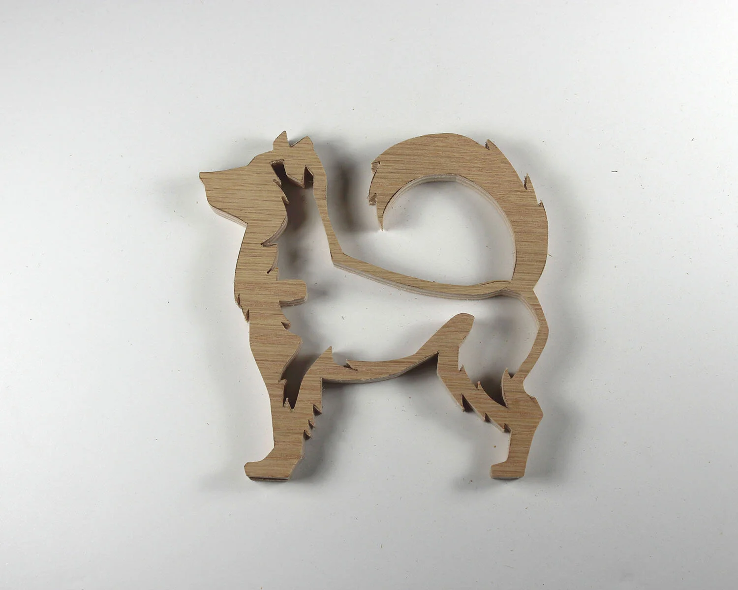 348 Siberian Husky.JPG