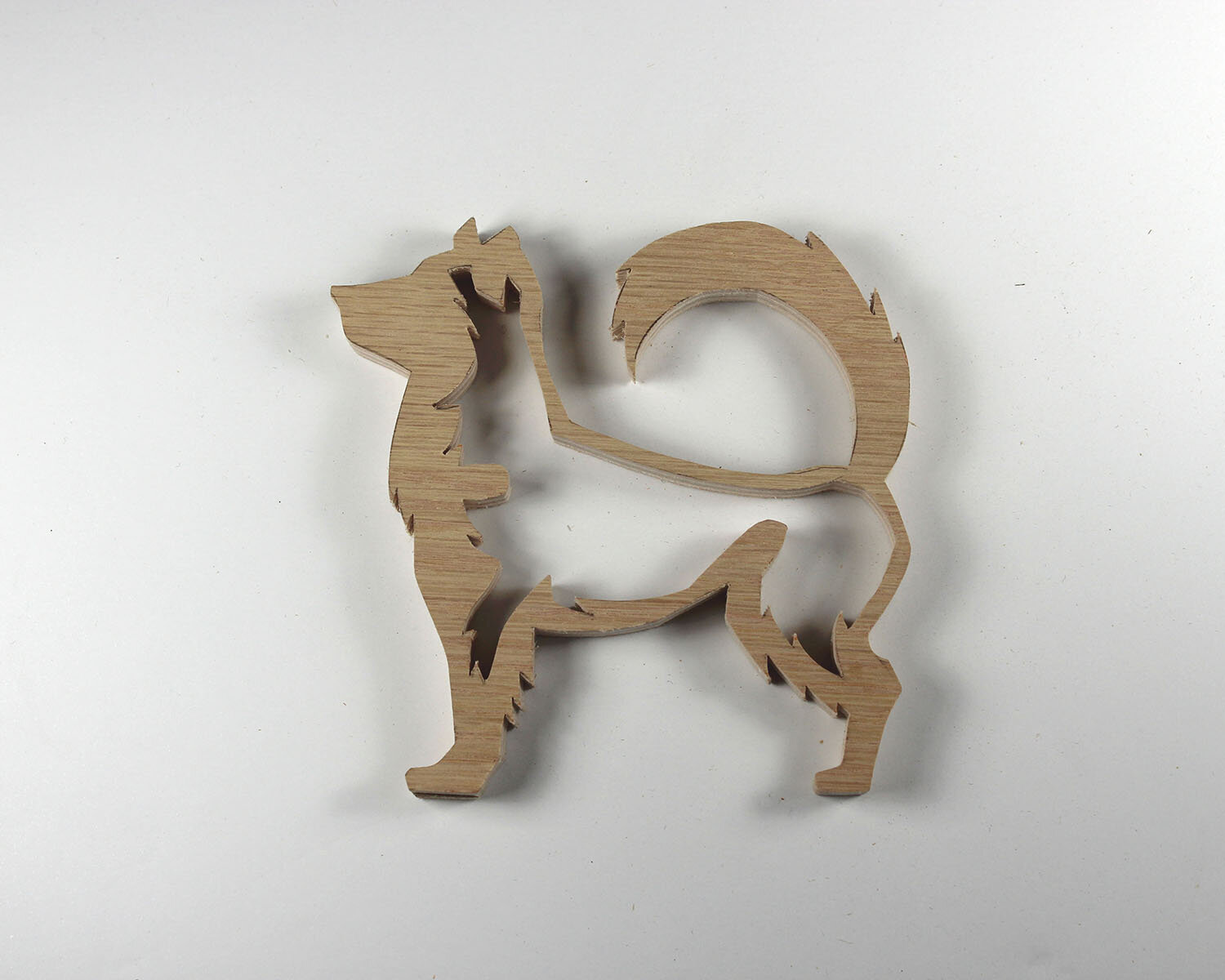 #348 December 14- Siberian Husky