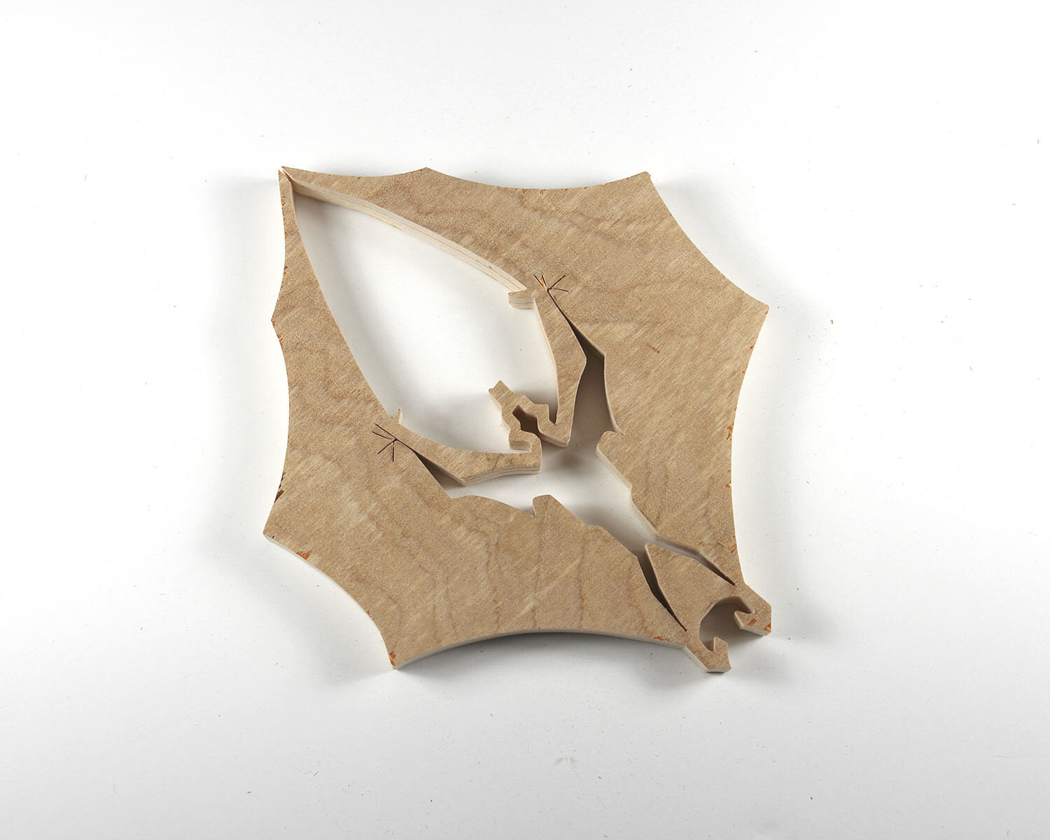 #349 December 15- Giant Golden Crowned Flying Fox