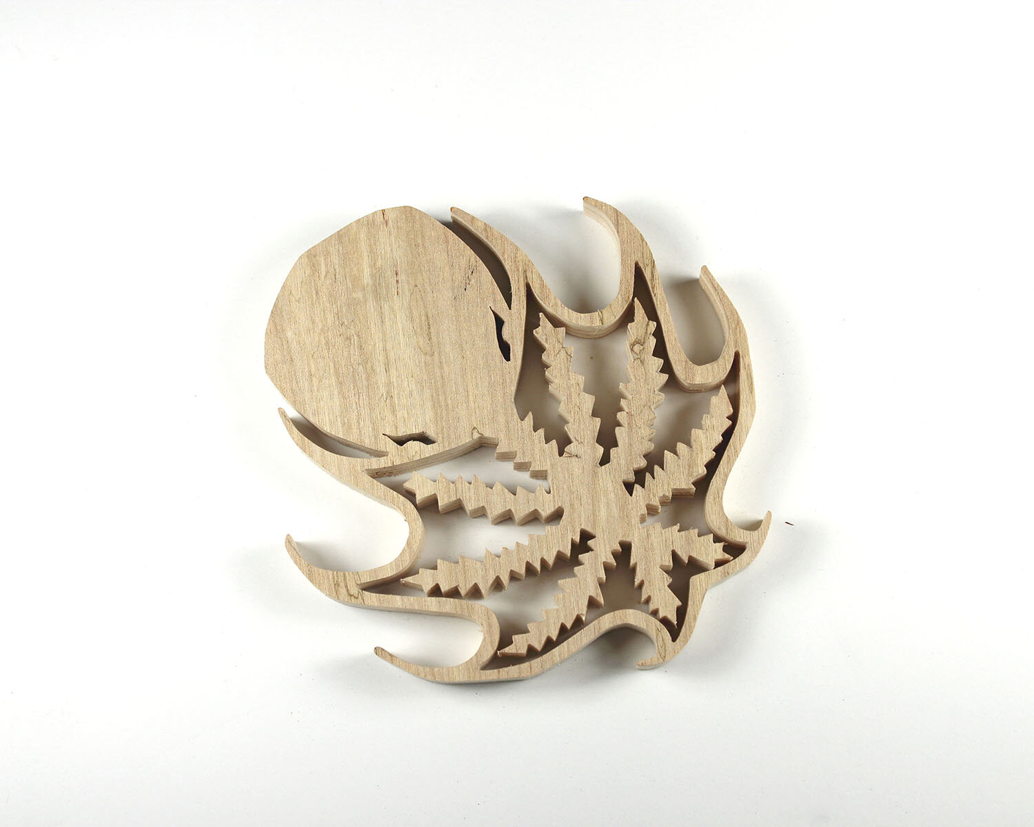 #351 December 17- Vampire Squid