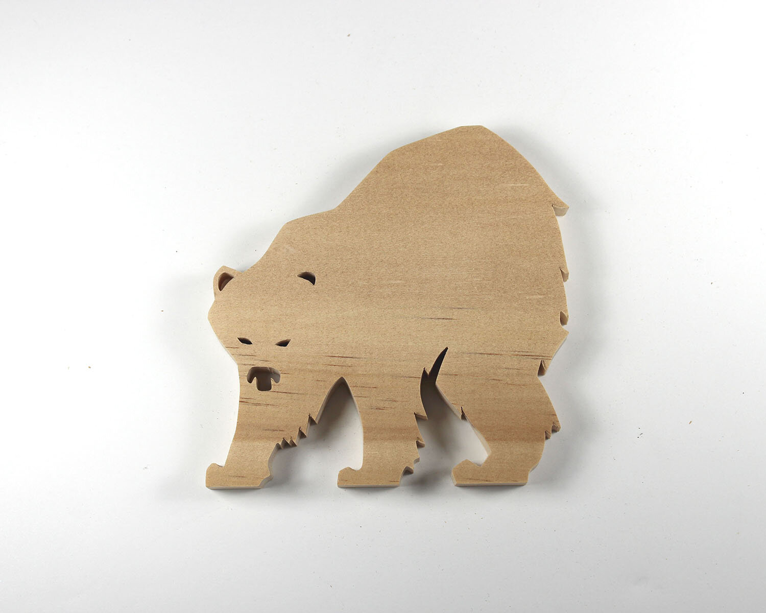 #355 December 21- Polar Bear