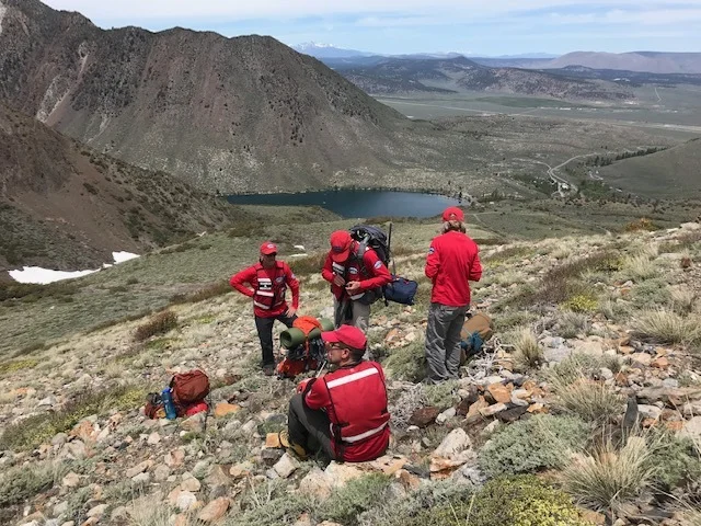 Field team holding for helicopter extraction of the subject. Image by J. Bush
