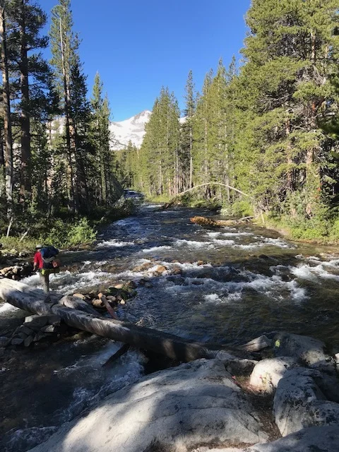 Stream crossing. Image by J. Bush