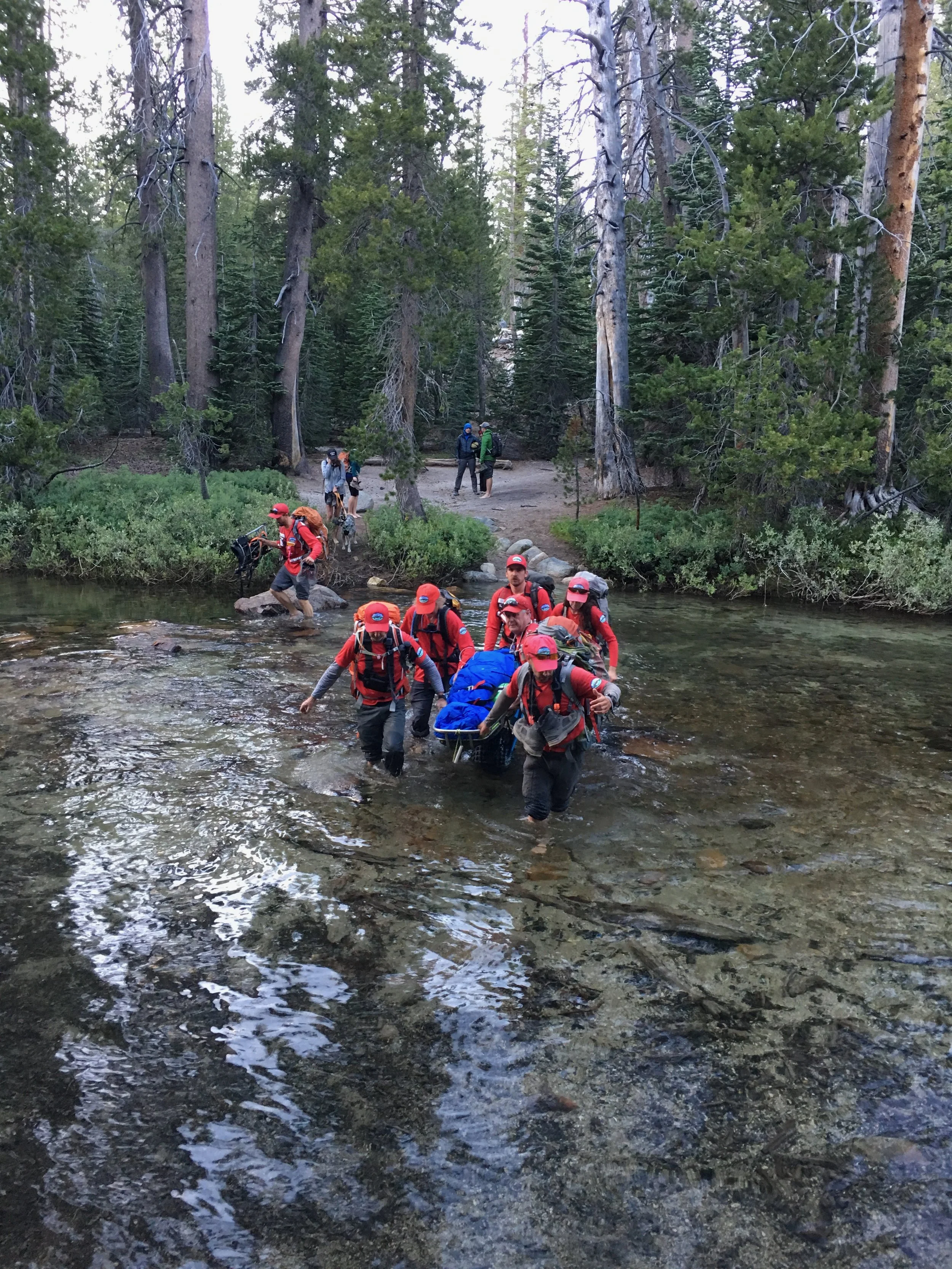 A creek crossing on the litter carryout. Image by M. Quiring