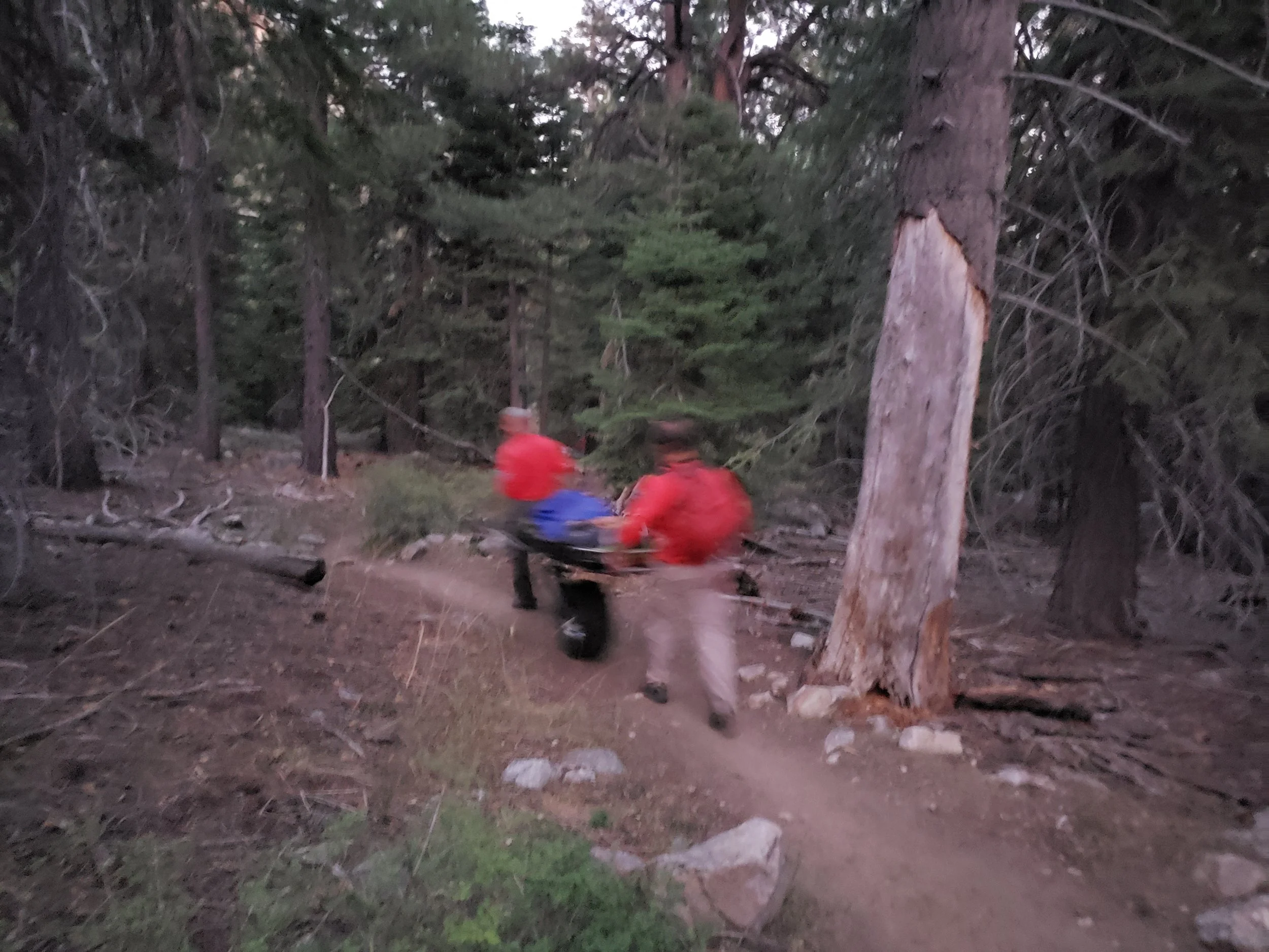 Transporting our subject toward the trailhead. The image is blurry due to the speed of the litter team on the trail. Image by B. Beck