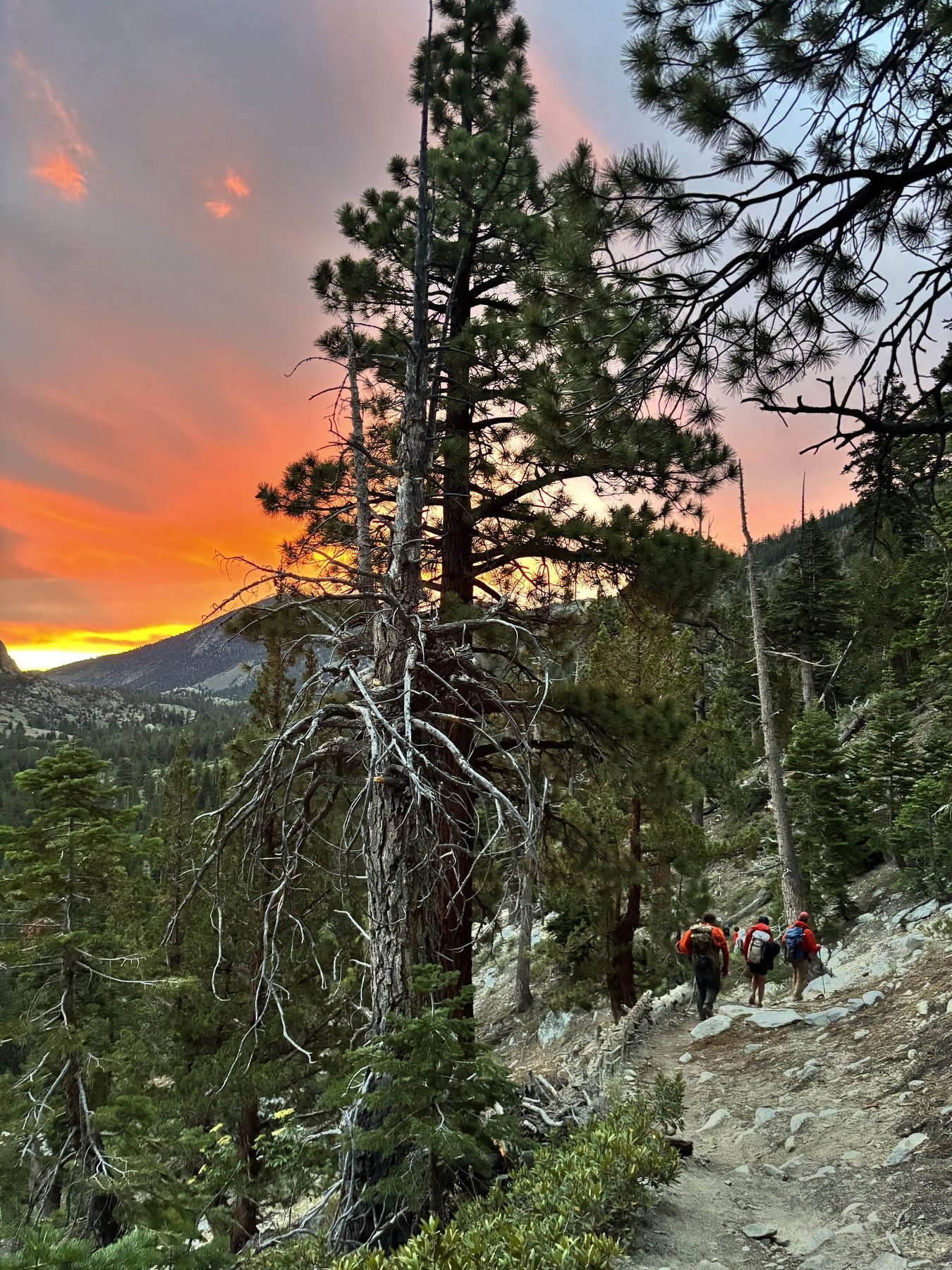 Sunrise over the trail as rescuers descend after the overnight mission