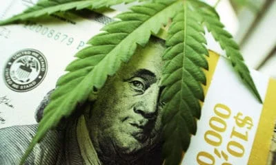 cannasure-launches-insurance-program-for-weed-businesses-hero-400x240.jpg