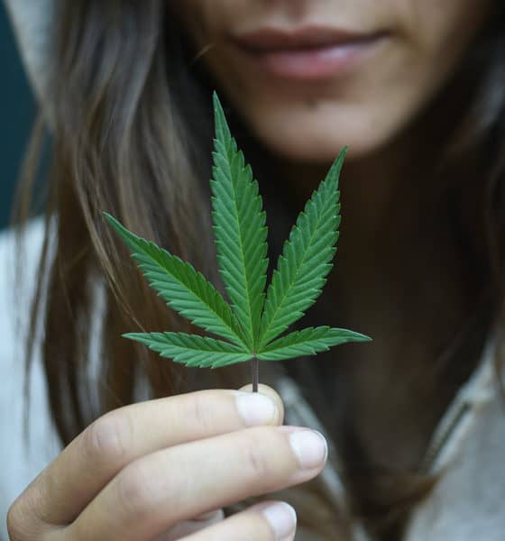 marijuana-legalization-effort-connecticut-running-out-time-hero-560x600.jpg