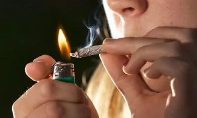 new-zealanders-may-soon-vote-on-cannabis-and-euthanasia-hero-400x240.jpg