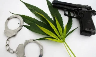 30-arrested-washington-dc-marijuana-pop-up-event-hero-400x240.jpg