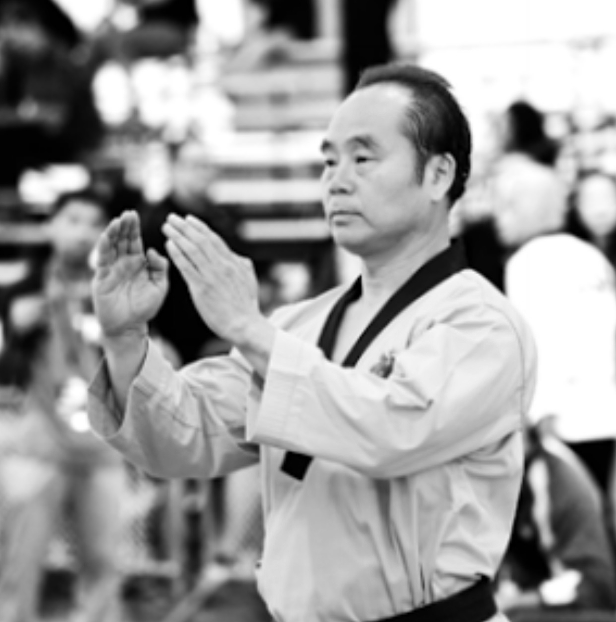 Grand Master Jin Ki Lim