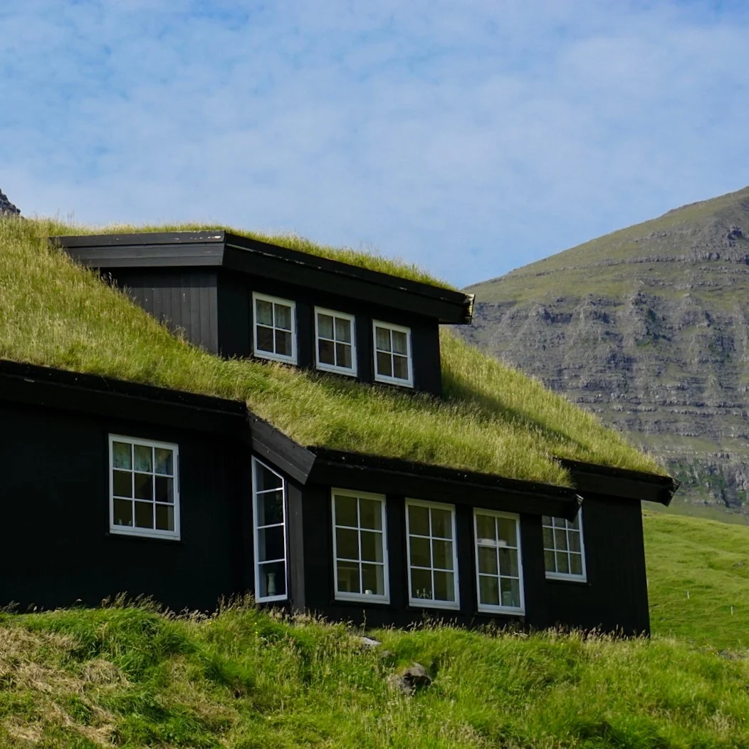 The Grassy Roof