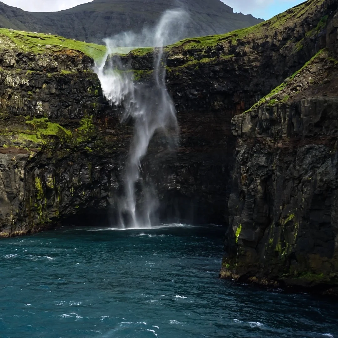 Natures Way of Dancing