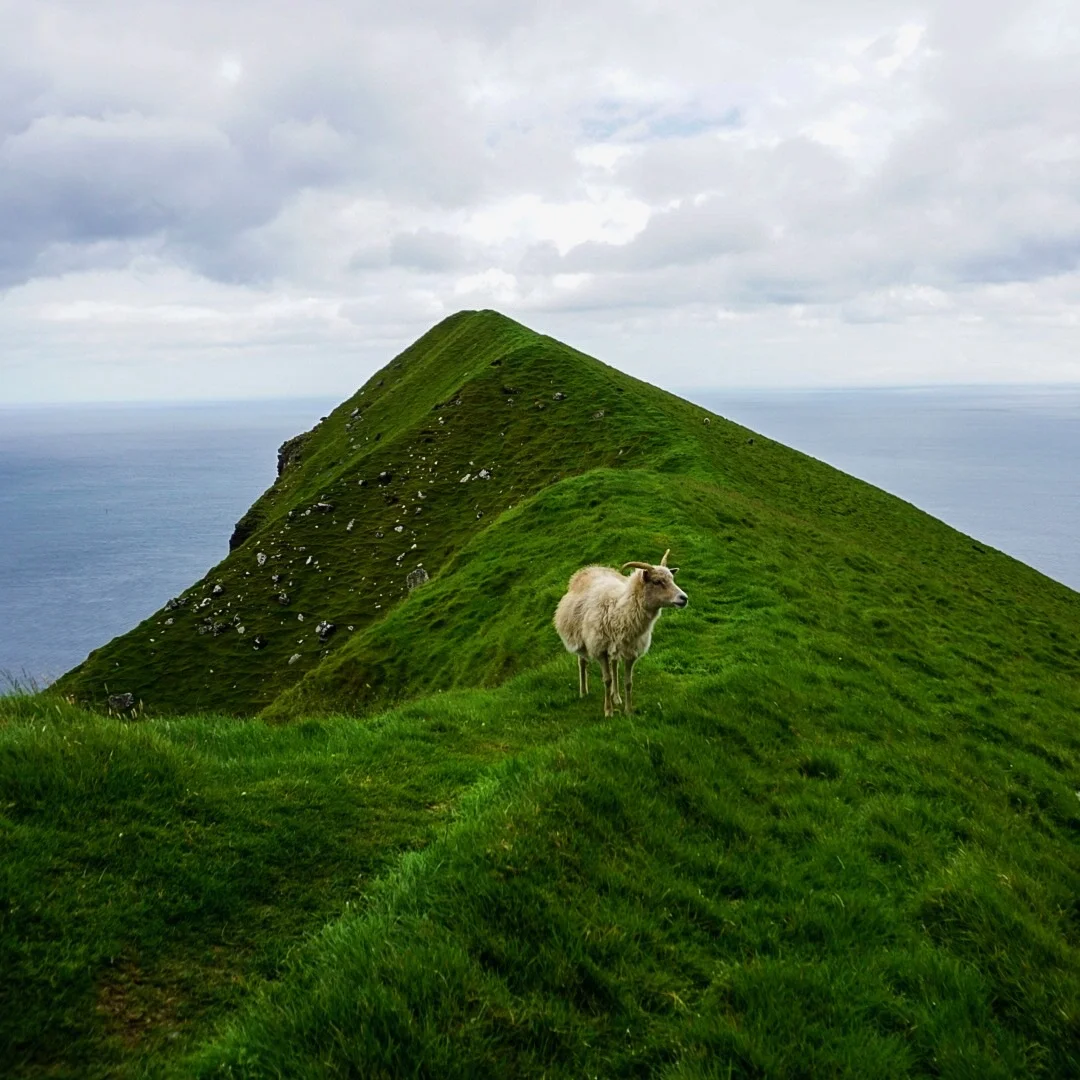 The Edge of the World