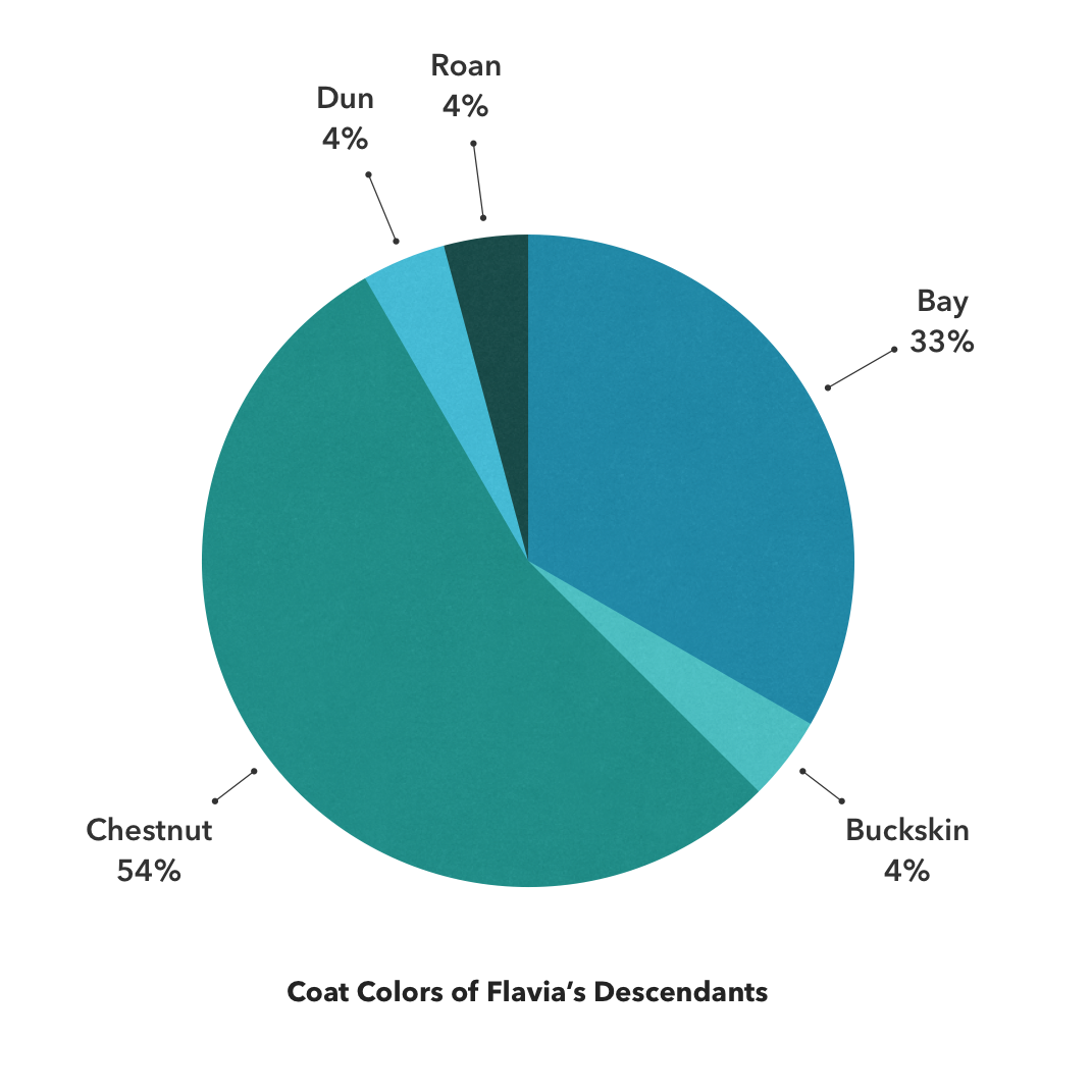 The Colors of Flavia's Descendants