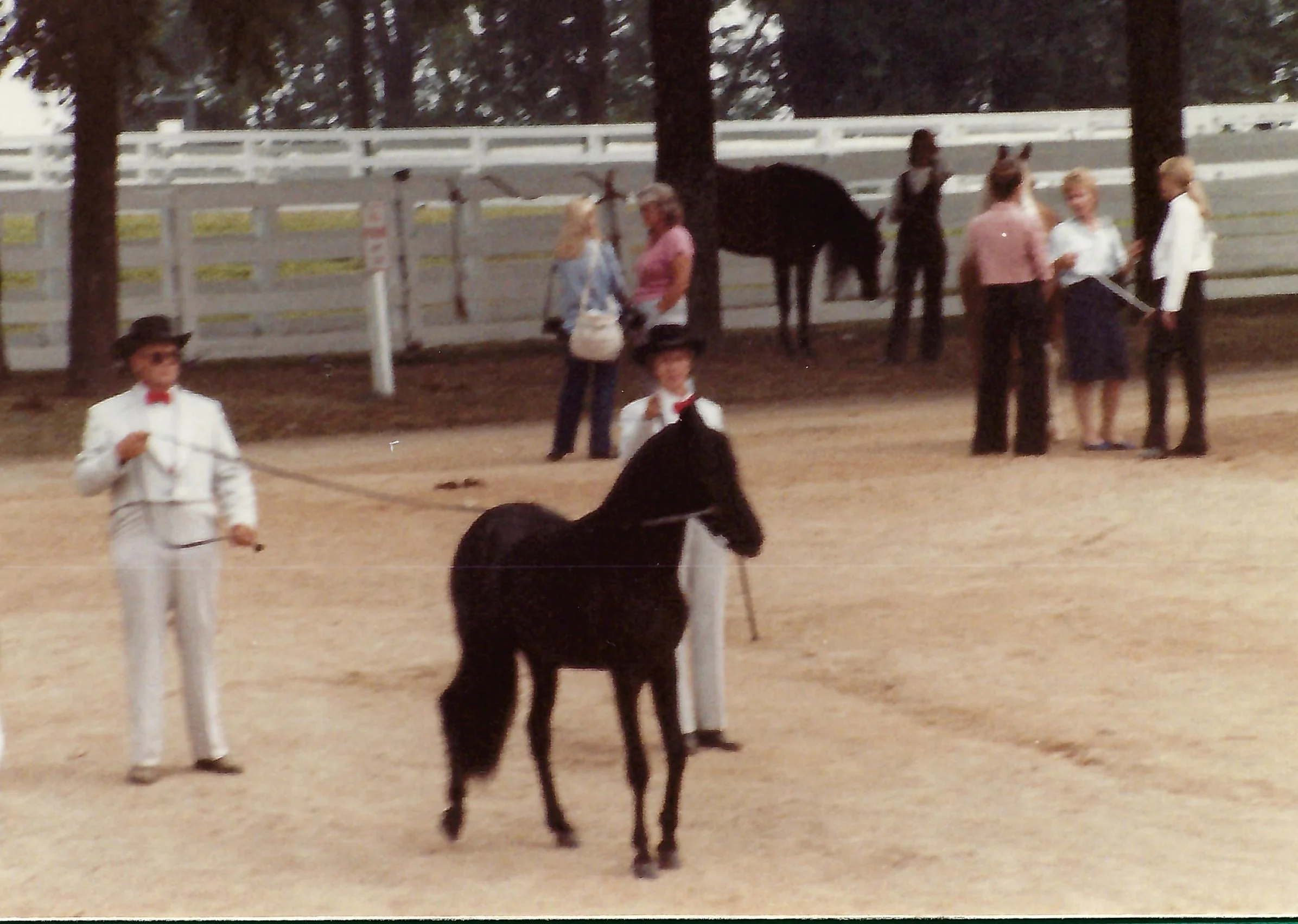 Carbonero Wind Song on the lines with Harland.jpg