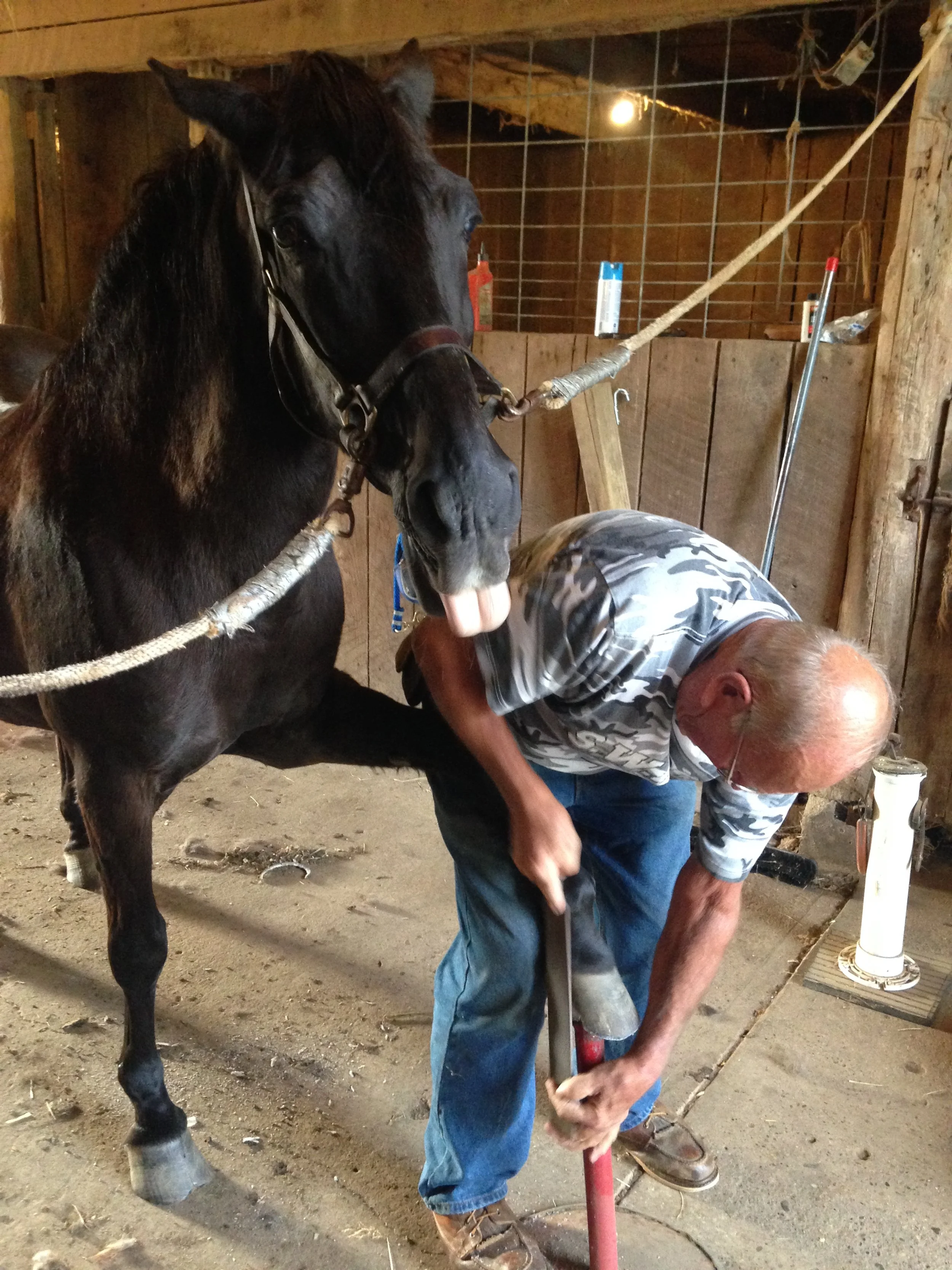 Dorado and Harland _0578.jpg