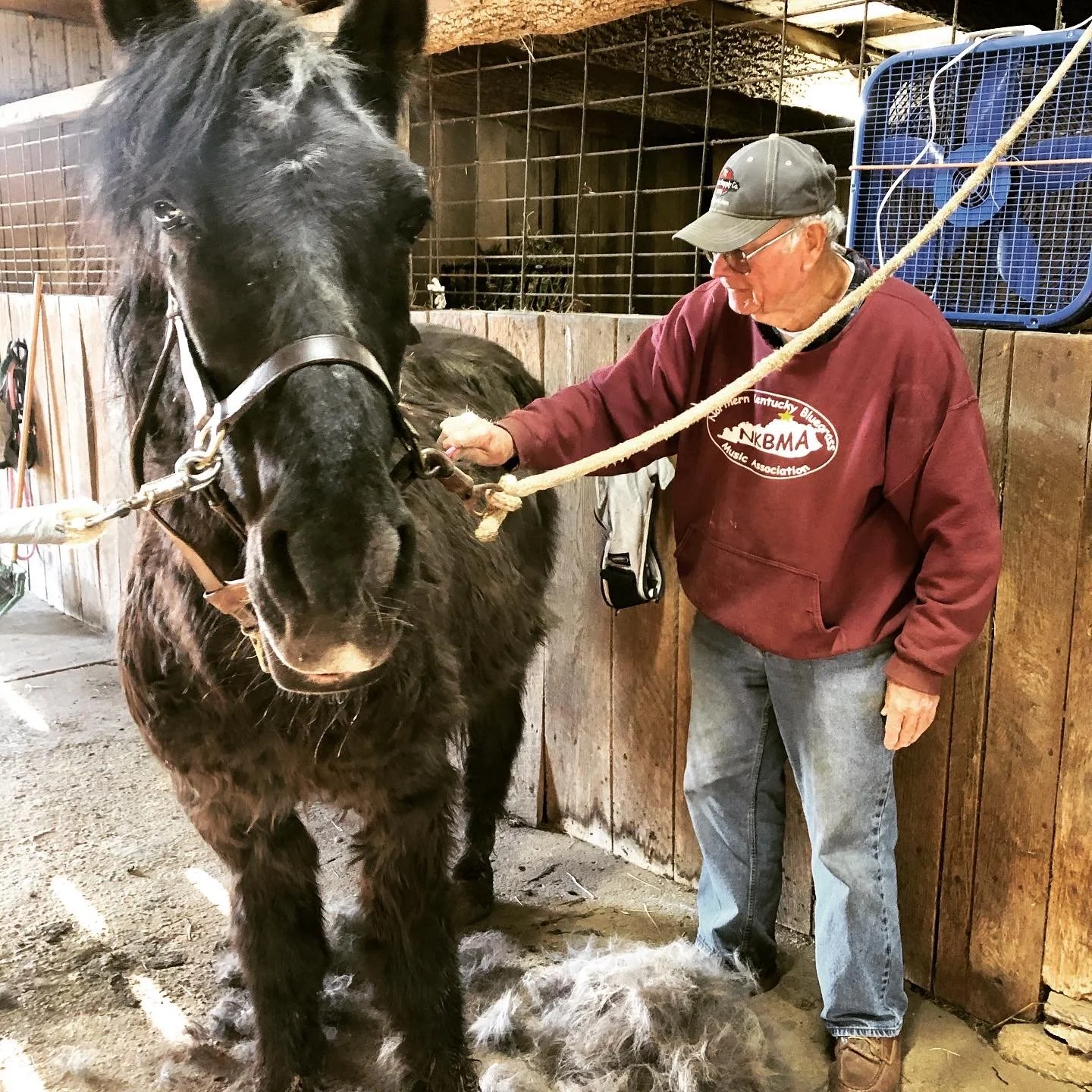 Dorado being groomed by Harland  insta edit.jpg