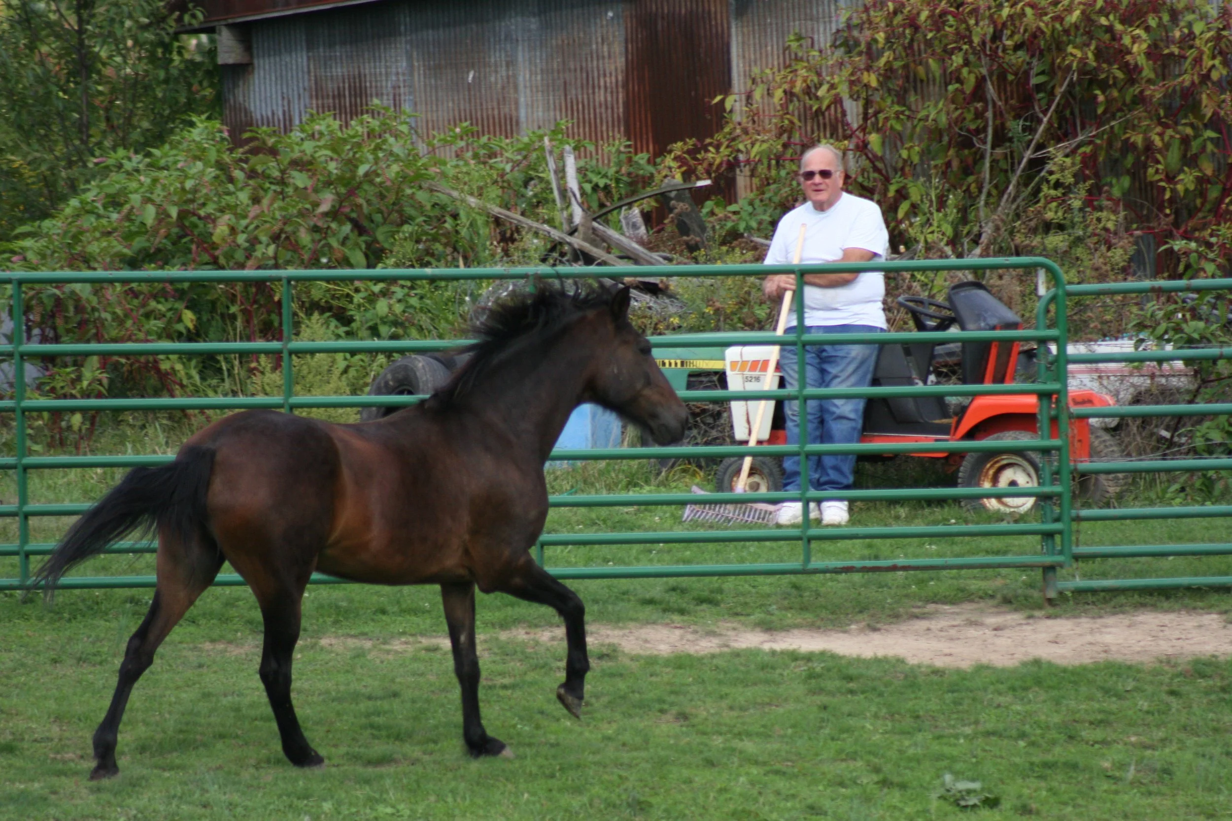Harland watching Fuego 2006_8845.JPG