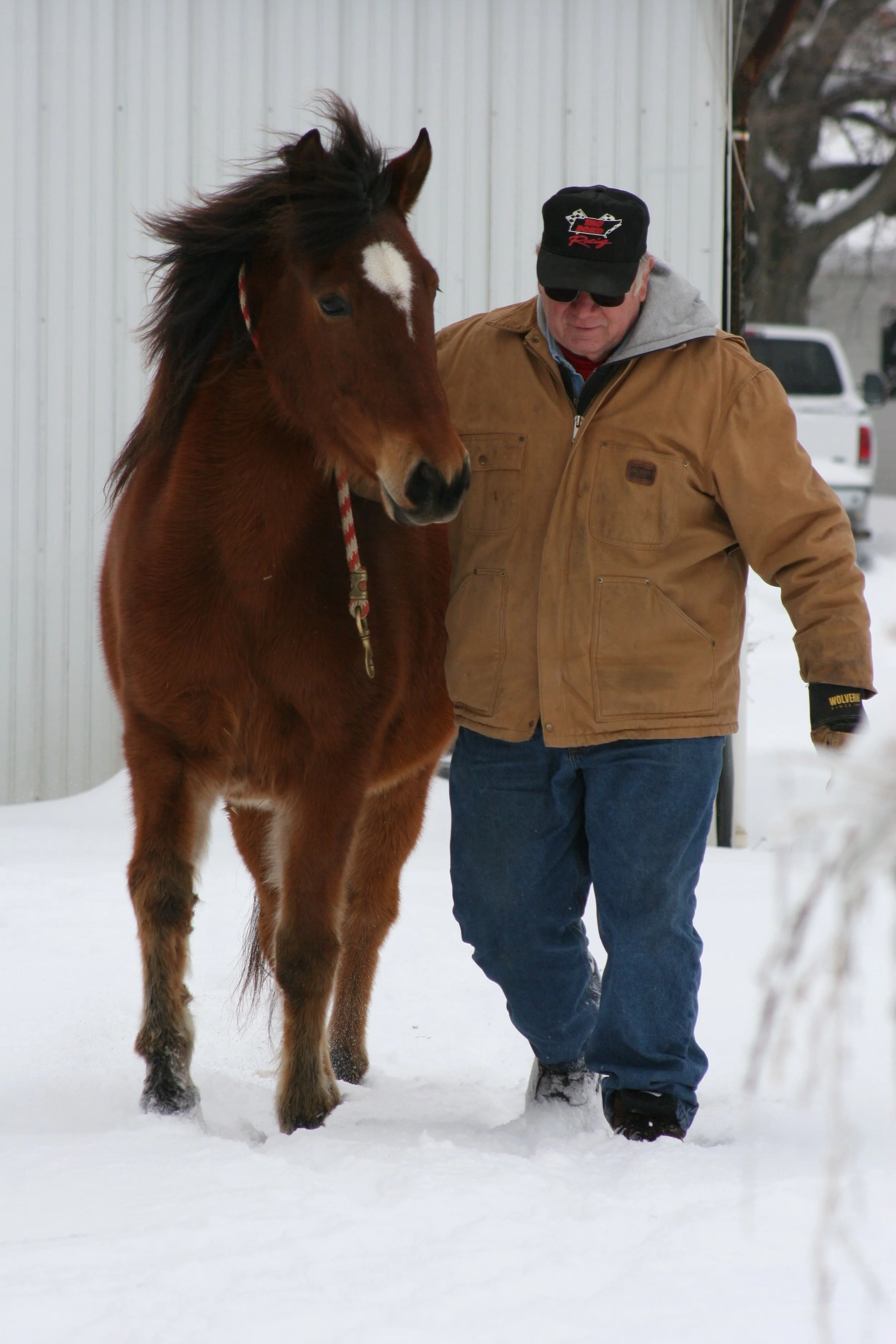 FNLK Jan 09 Farm013.JPG