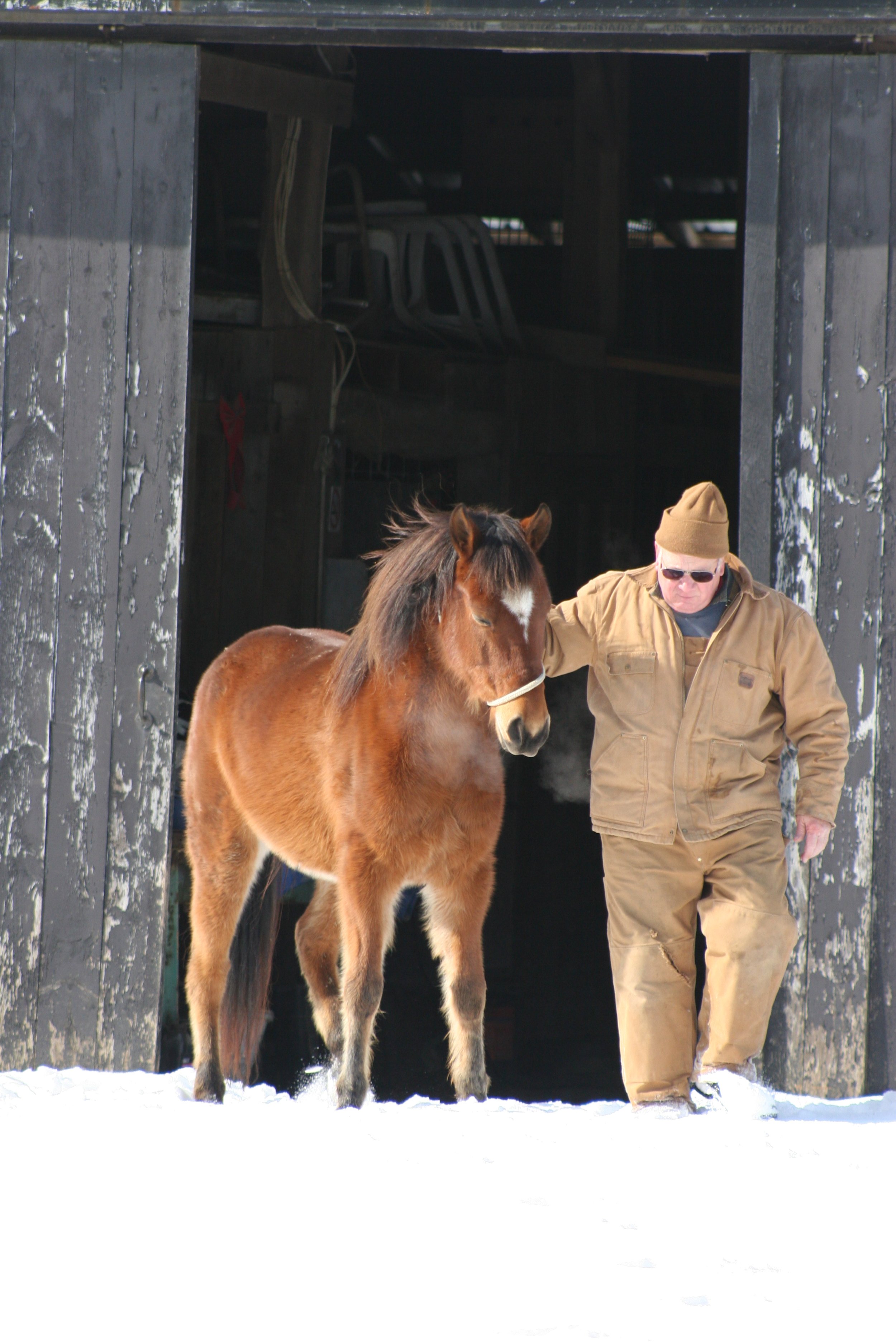 Harland Leading Facade February 2007_EKO_2053.JPG