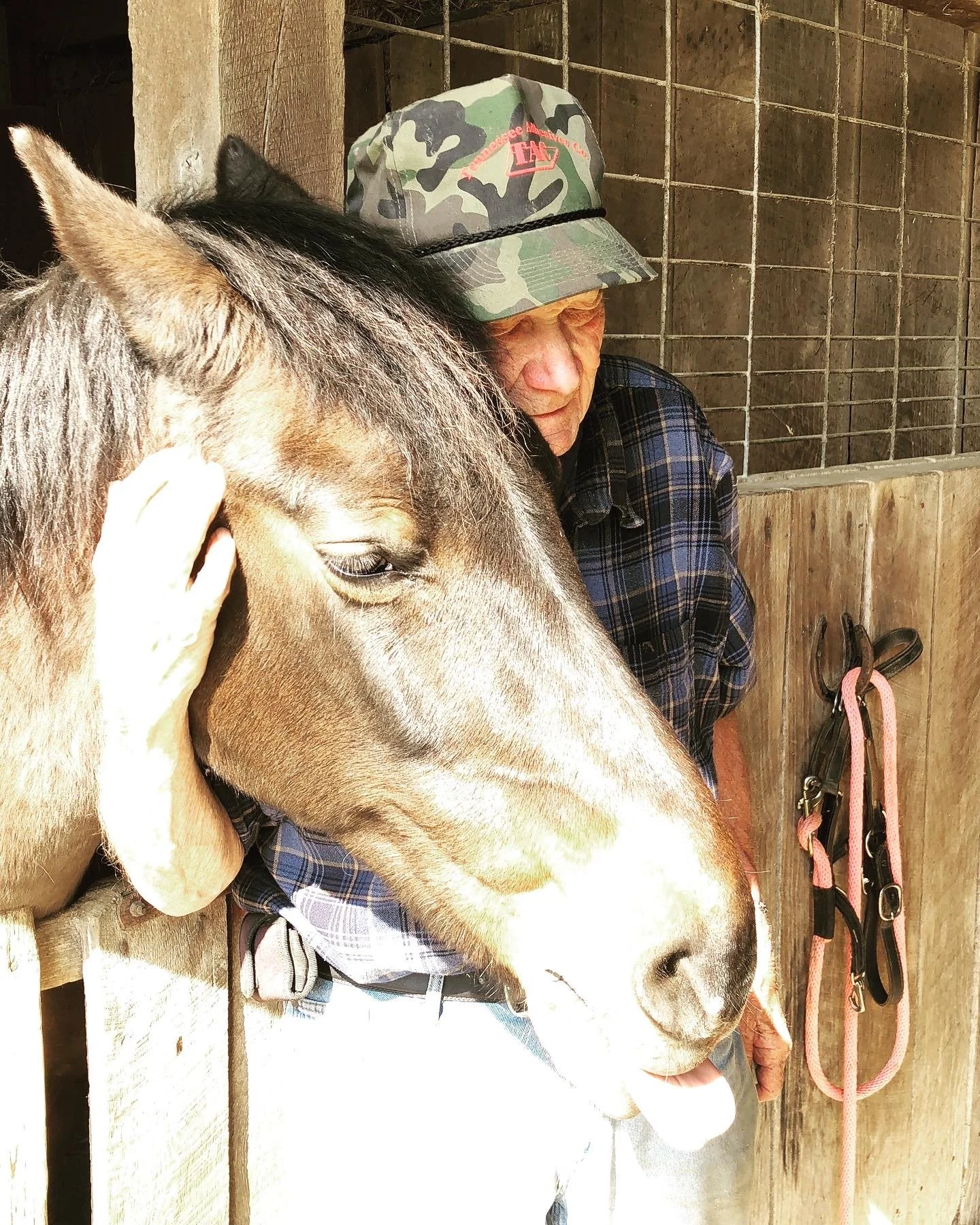 Damita and Harland -8D5C716B3082.jpg