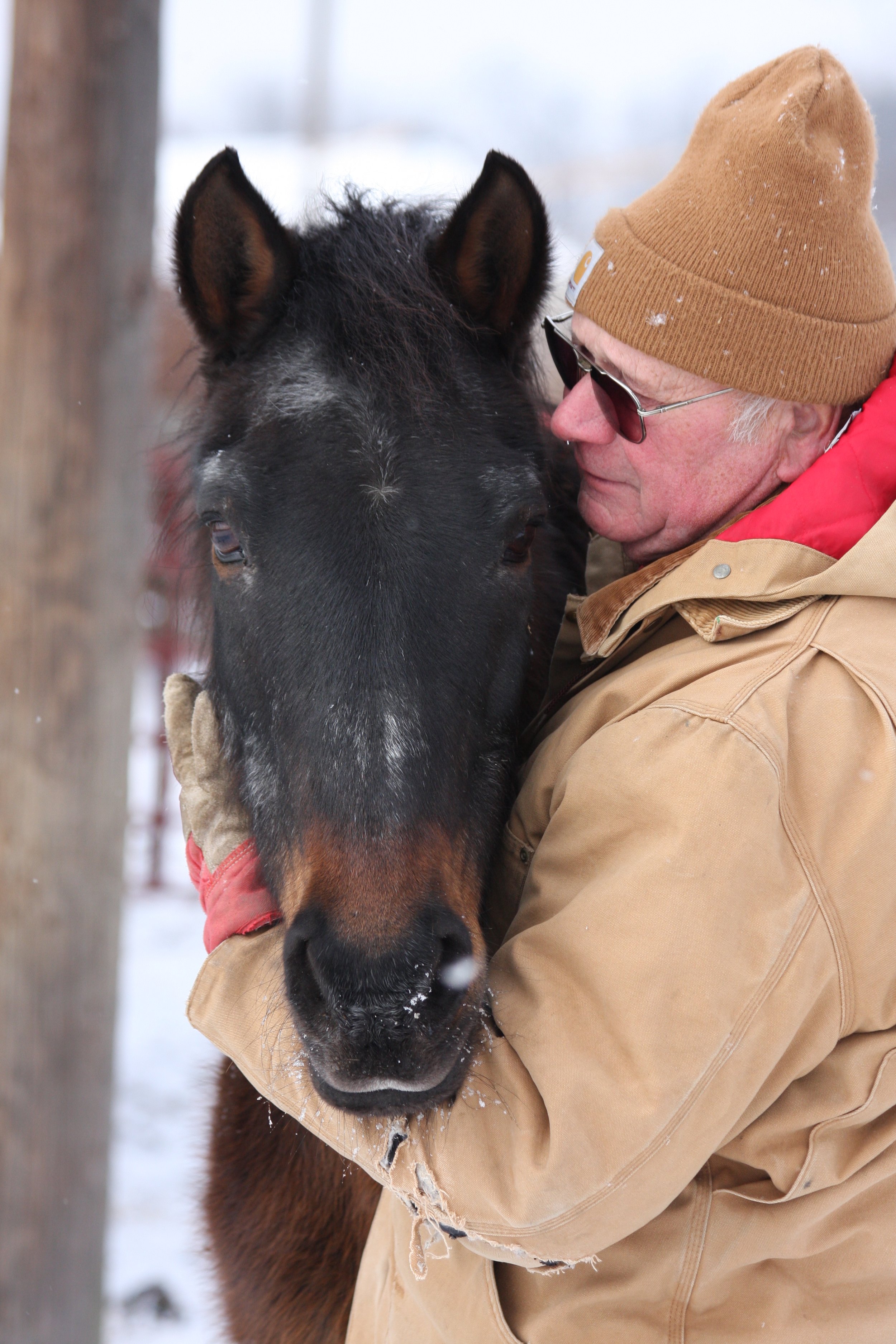 Fuego and Harland.JPG