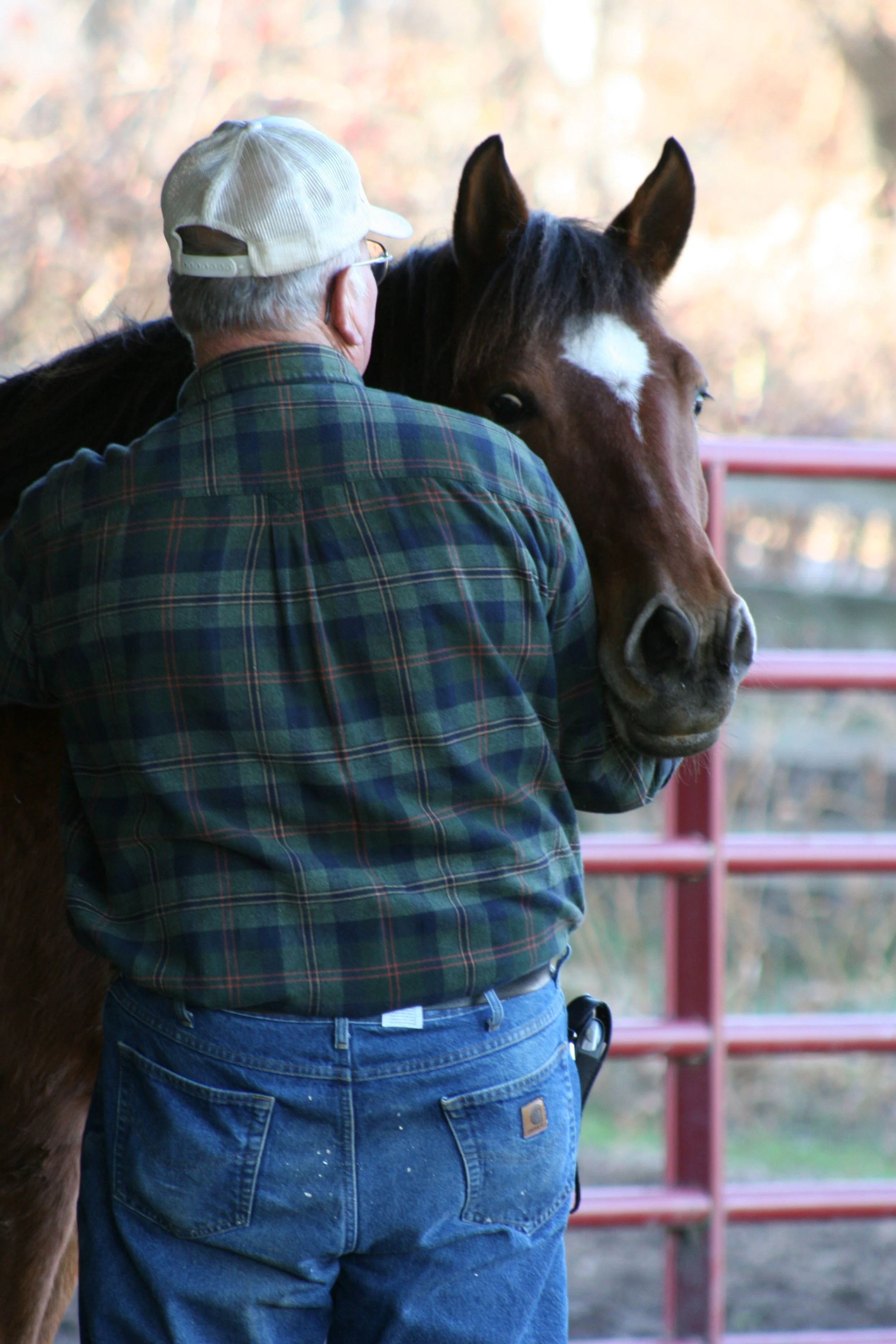 Harland and Facade November 2006_EKO_0416.JPG