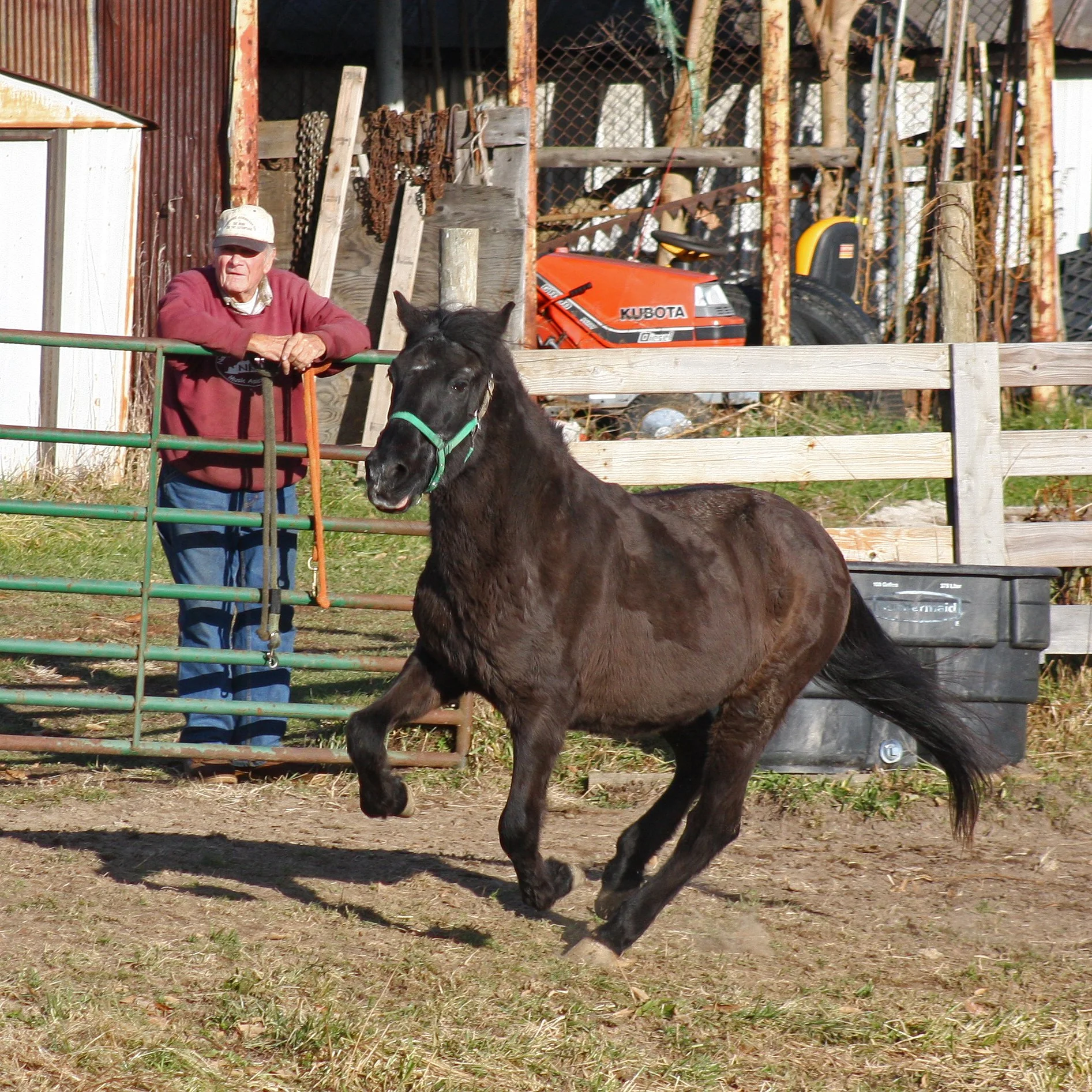 Dorado and Harland_2882.jpg