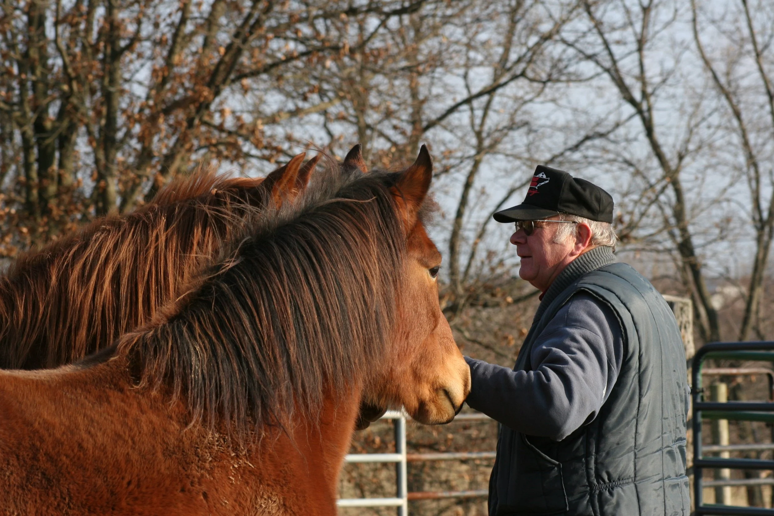 Caliente Facade and Harland_2006_8497.JPG