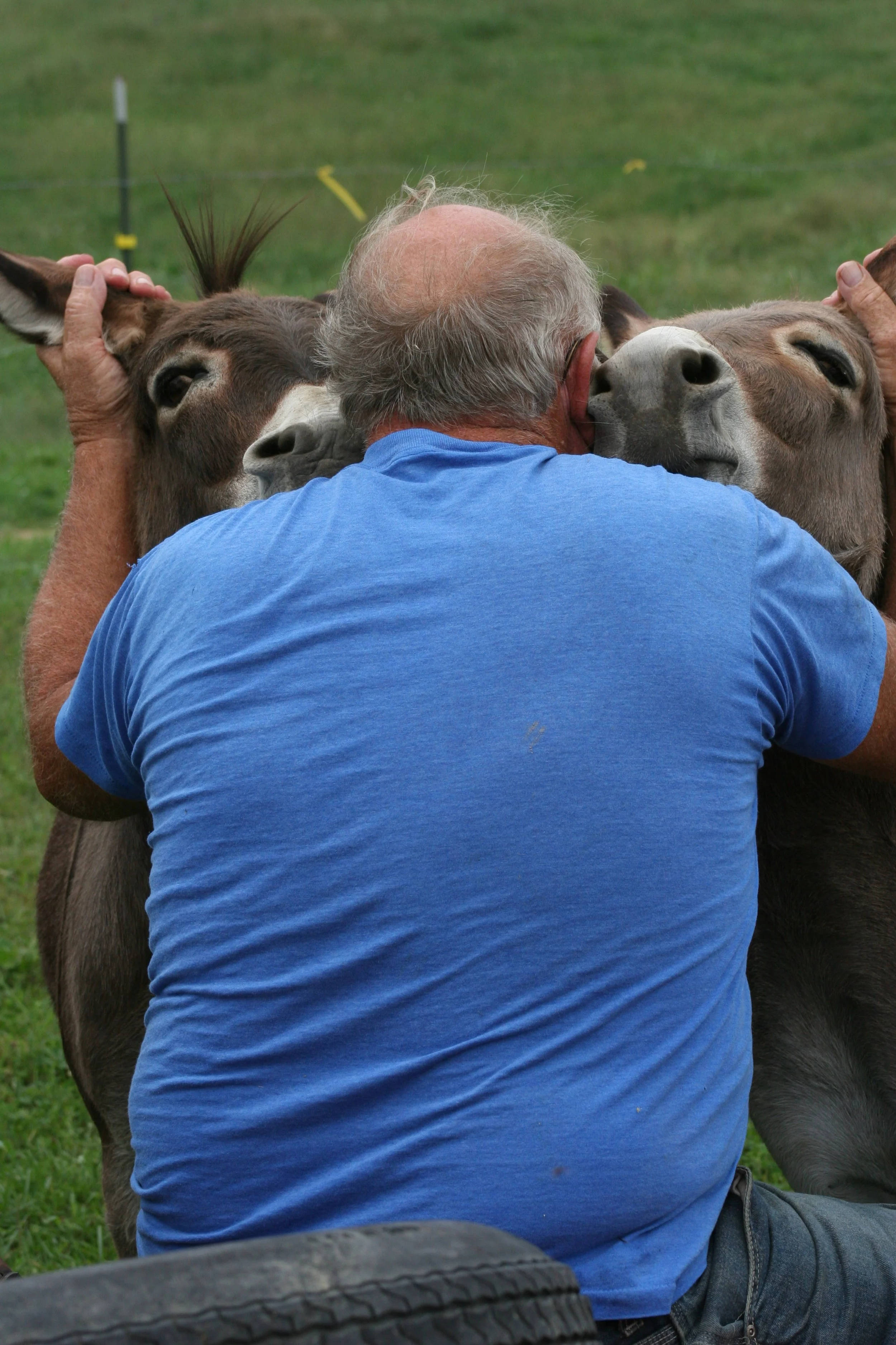 Harland Jack and Paco_2005_5983.JPG