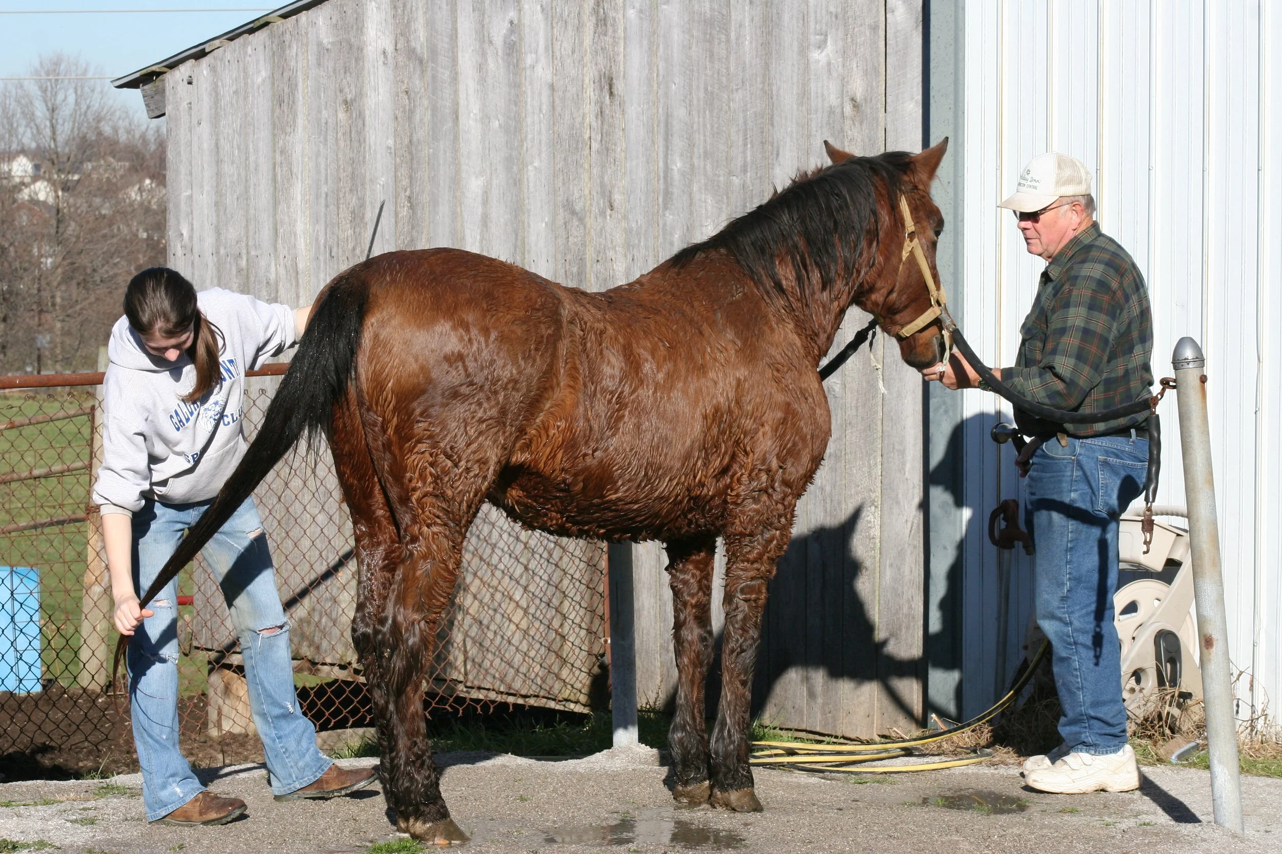 Katrina bathing Parte and Harland_November 2006_EKO_0222.JPG