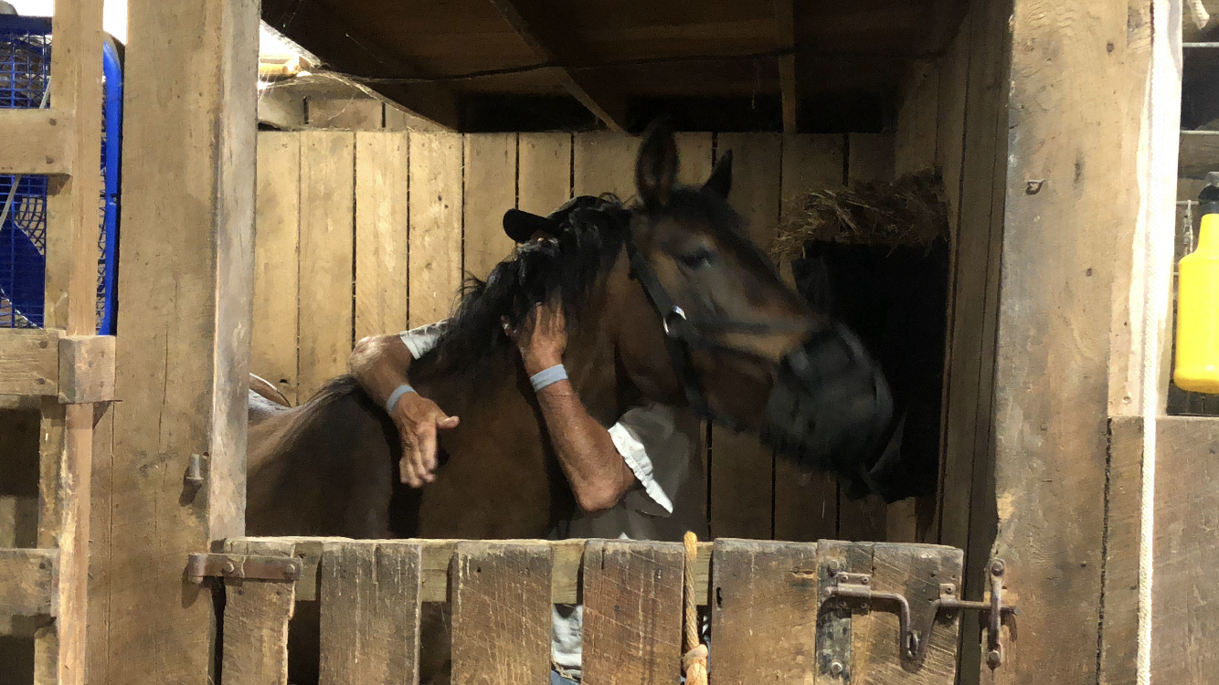 Harland Hug Mita_3343.PNG