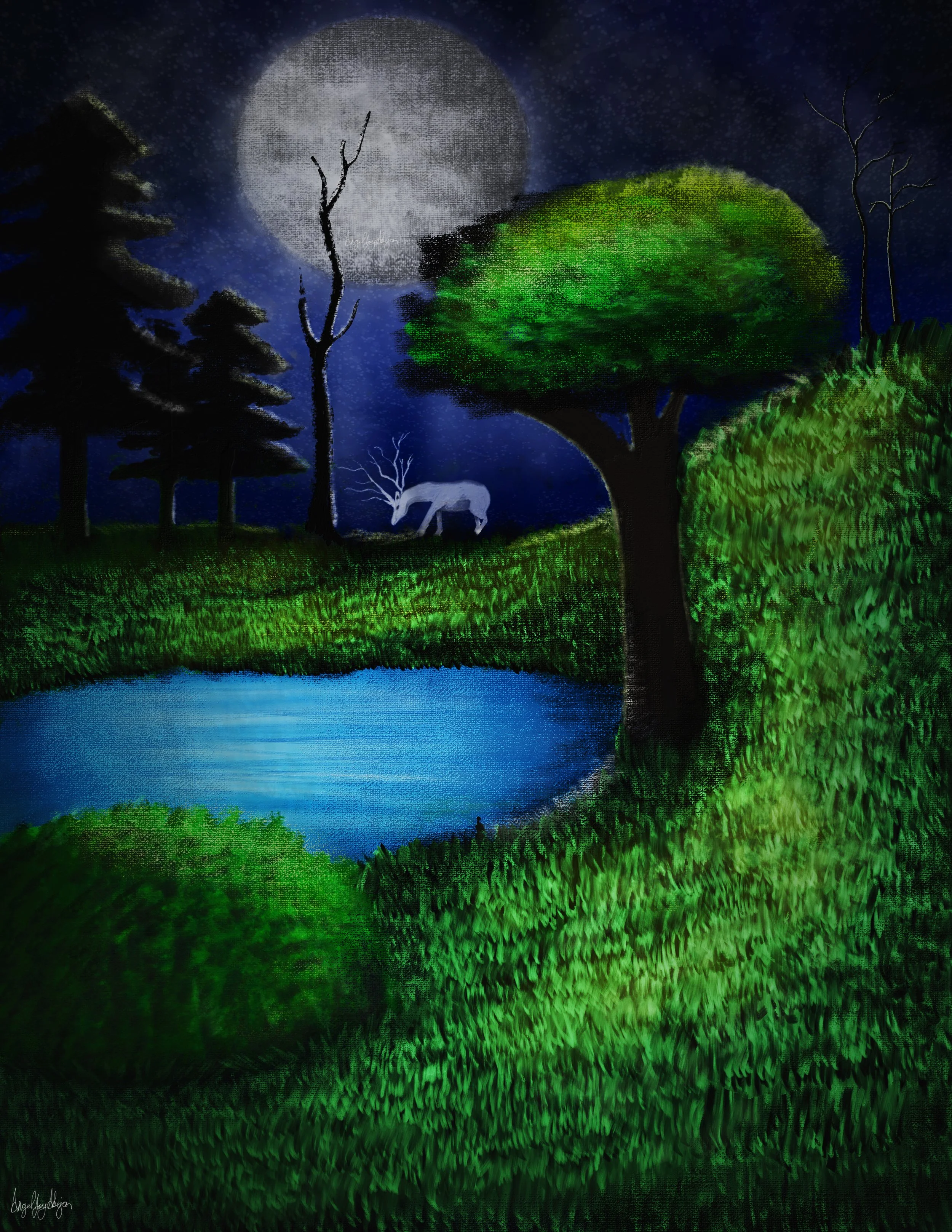 Moonlit night.jpeg