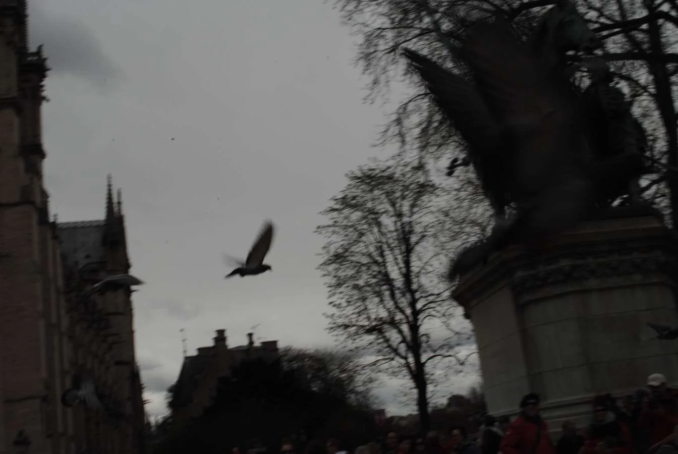 IMG_1268.jpeg