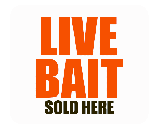 livebait.gif