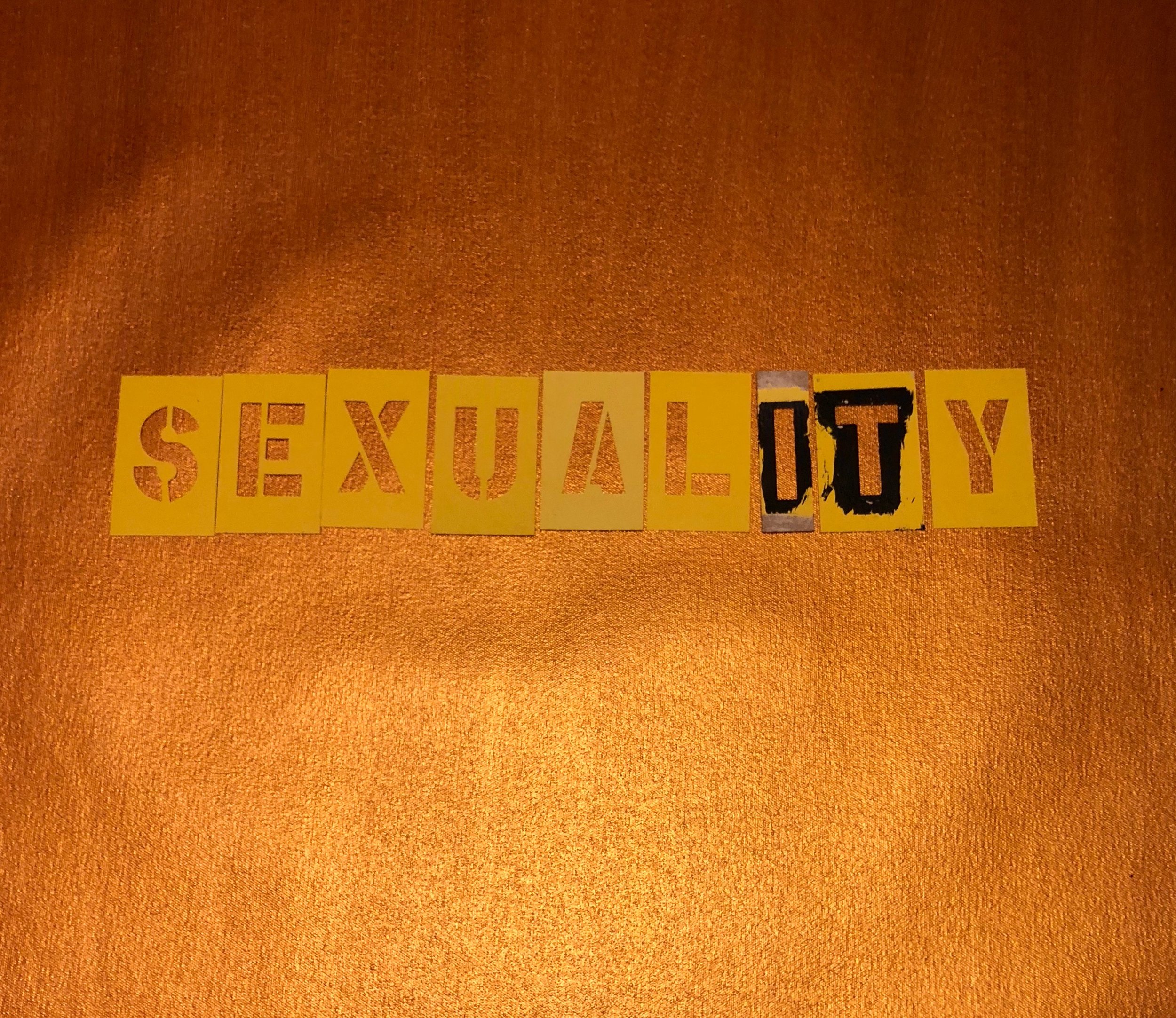 Galley Sexuality