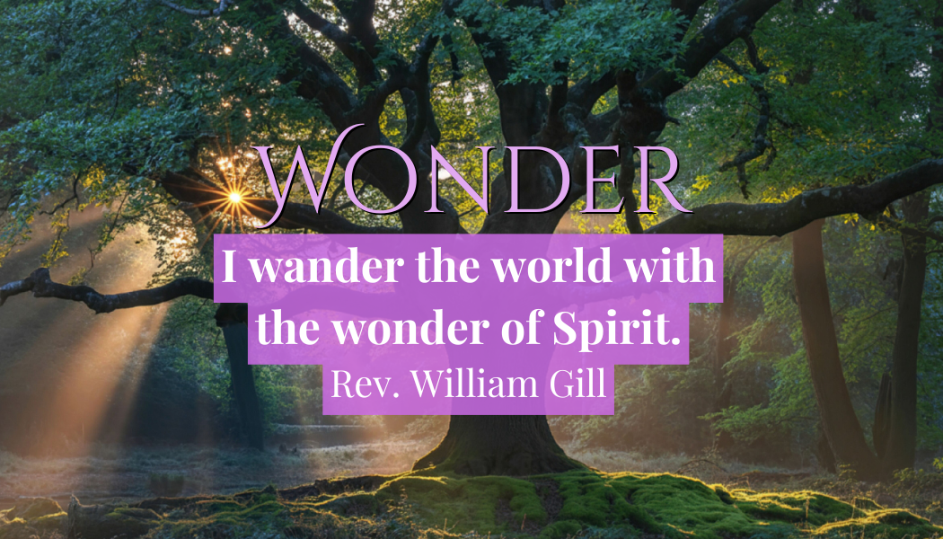 Wonder
"I wander the world with the wonder of Spirit."
- Rev. William Gill