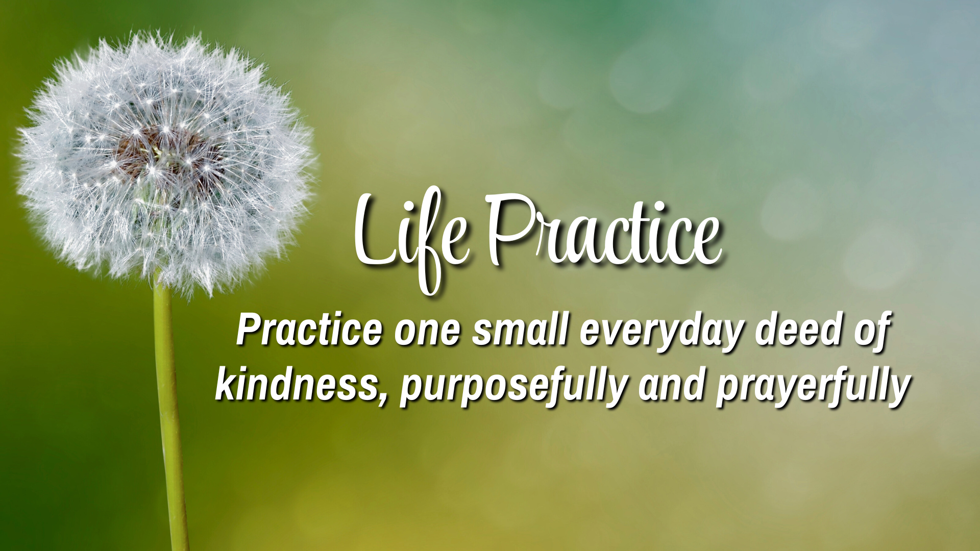 Life Practice

Practice one small everyday deed of kindness, purposefully and prayerfully.